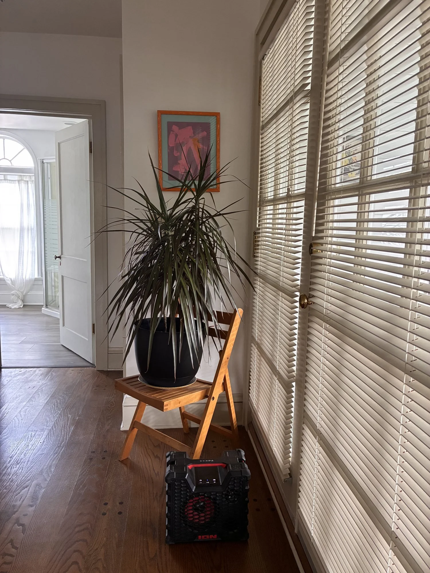 therapy-office-plants-window-light-virginia.jpg