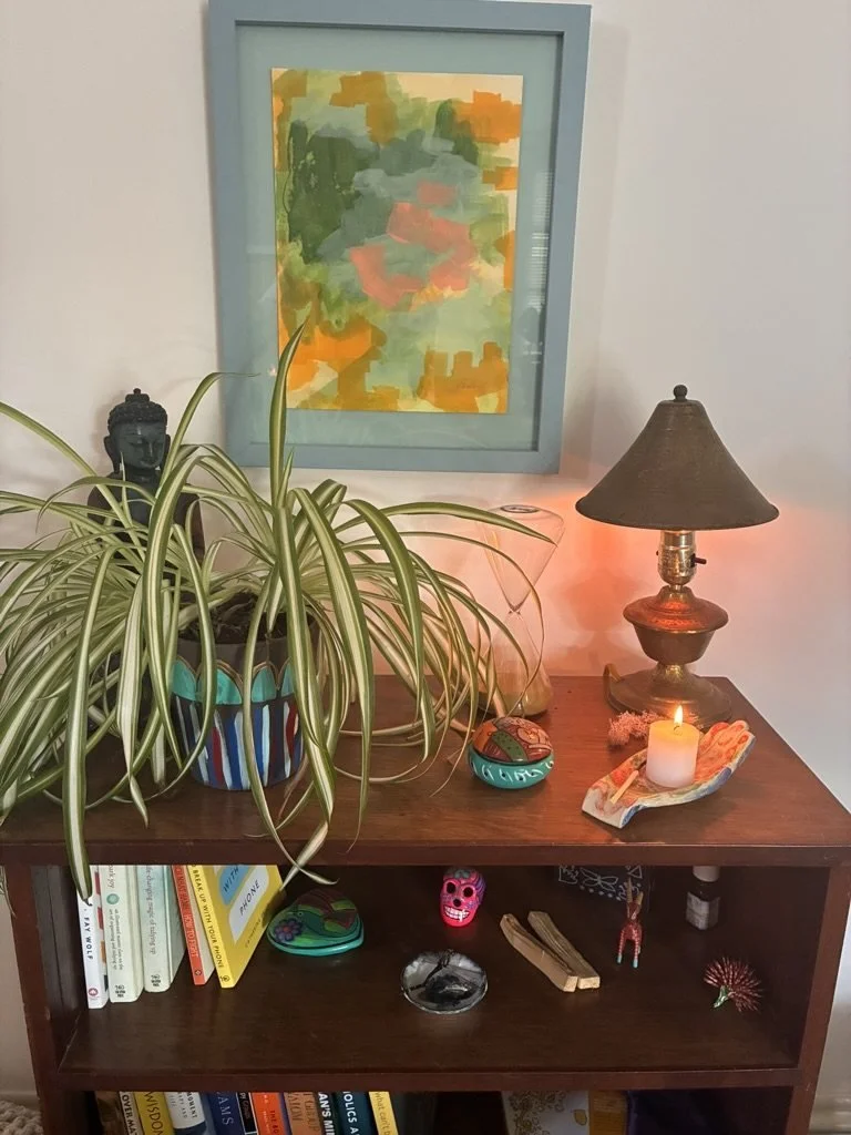 therapy-office-bookshelf-plants-art-virginia.jpg
