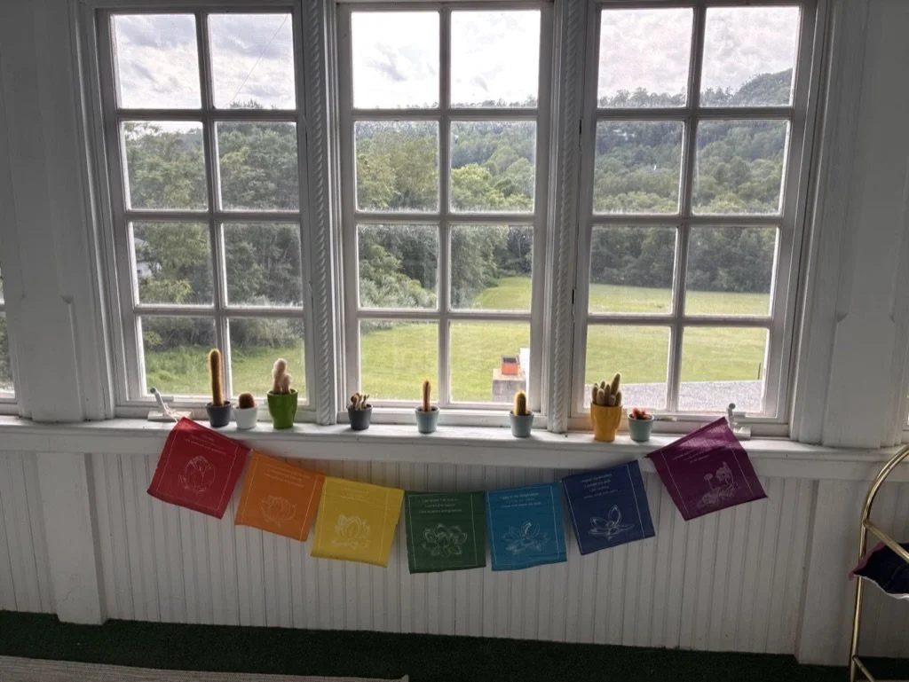 Window and Prayer Flags.jpeg