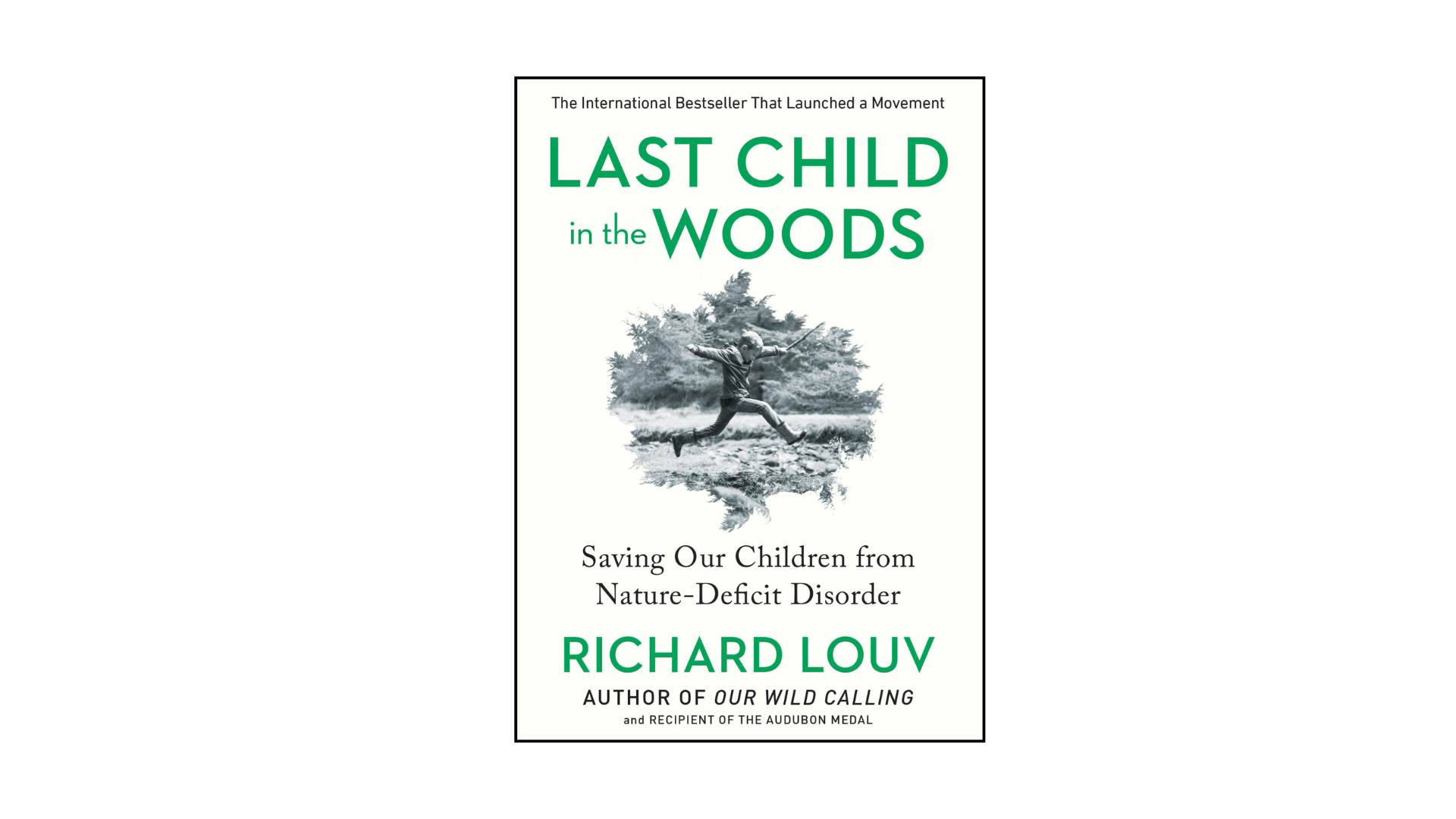 https://richardlouv.com/books/last-child