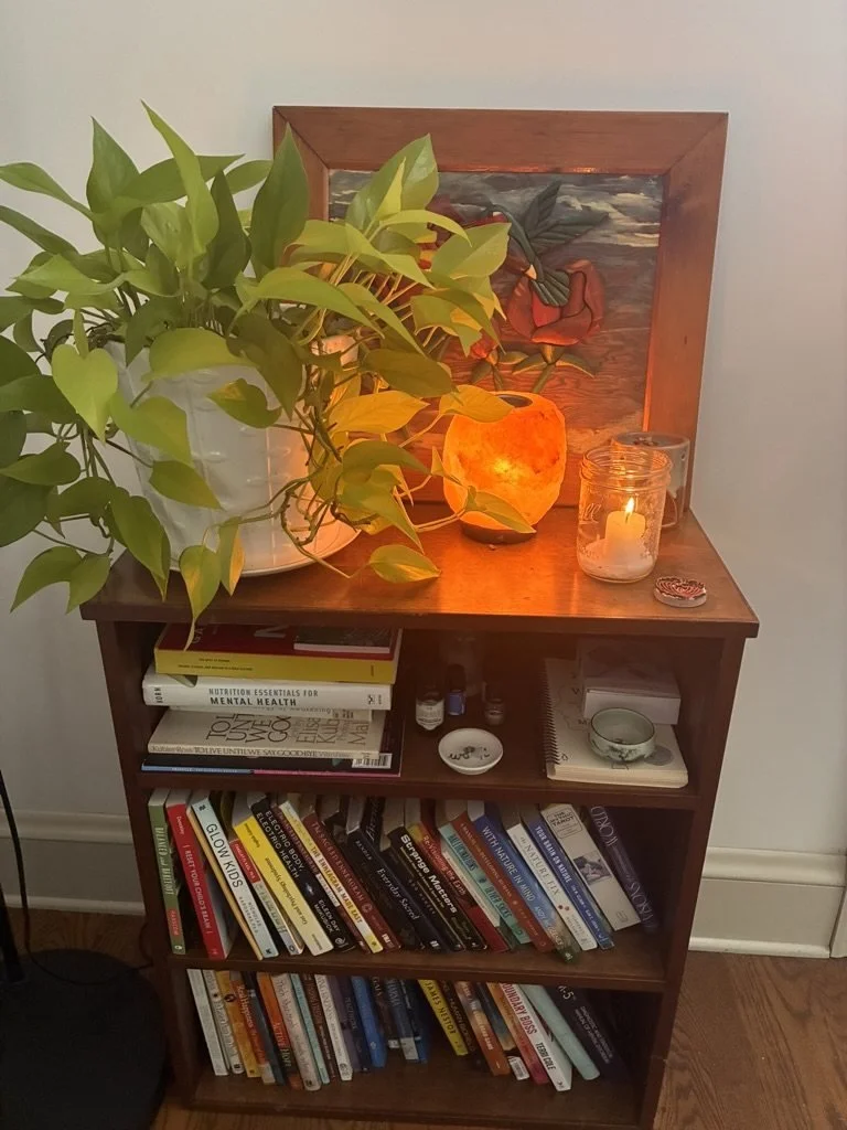 salt-lamp-plants-bookshelf-therapy-office-virginia.jpg
