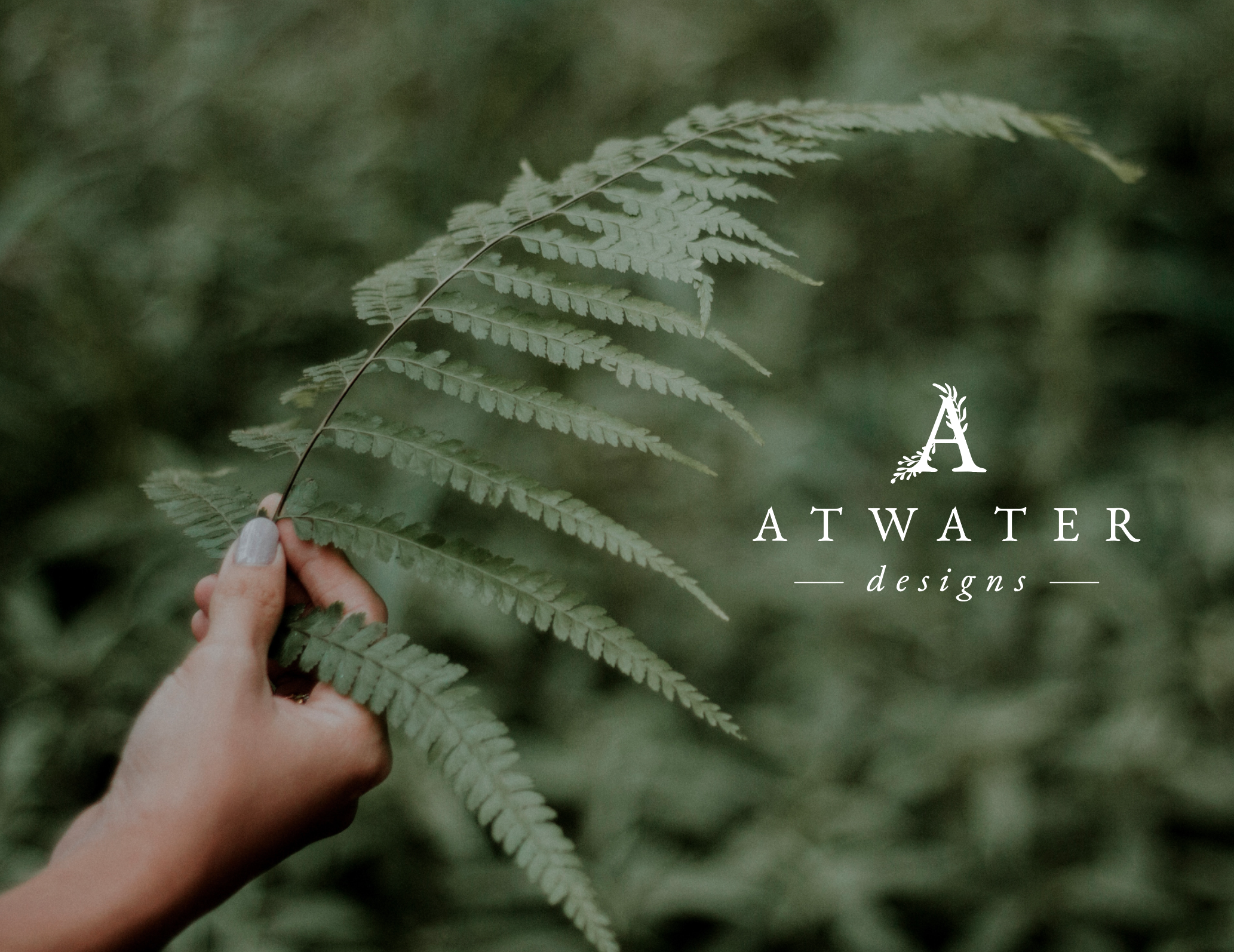 atwater_alternate1_curiousandco.png