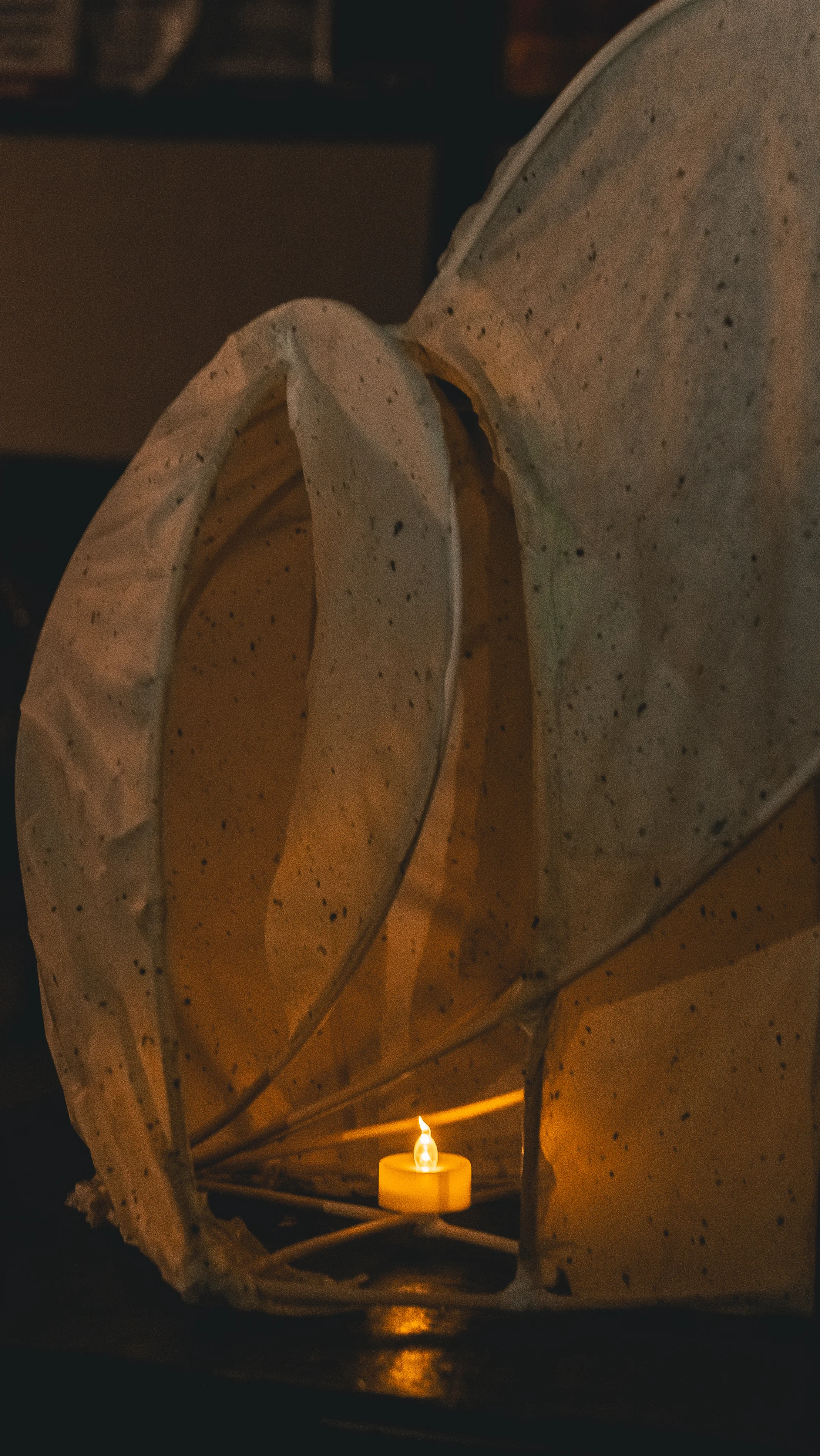 Spring Festival Of The Arts APR 25 2019 Adam Bacik 66.jpg