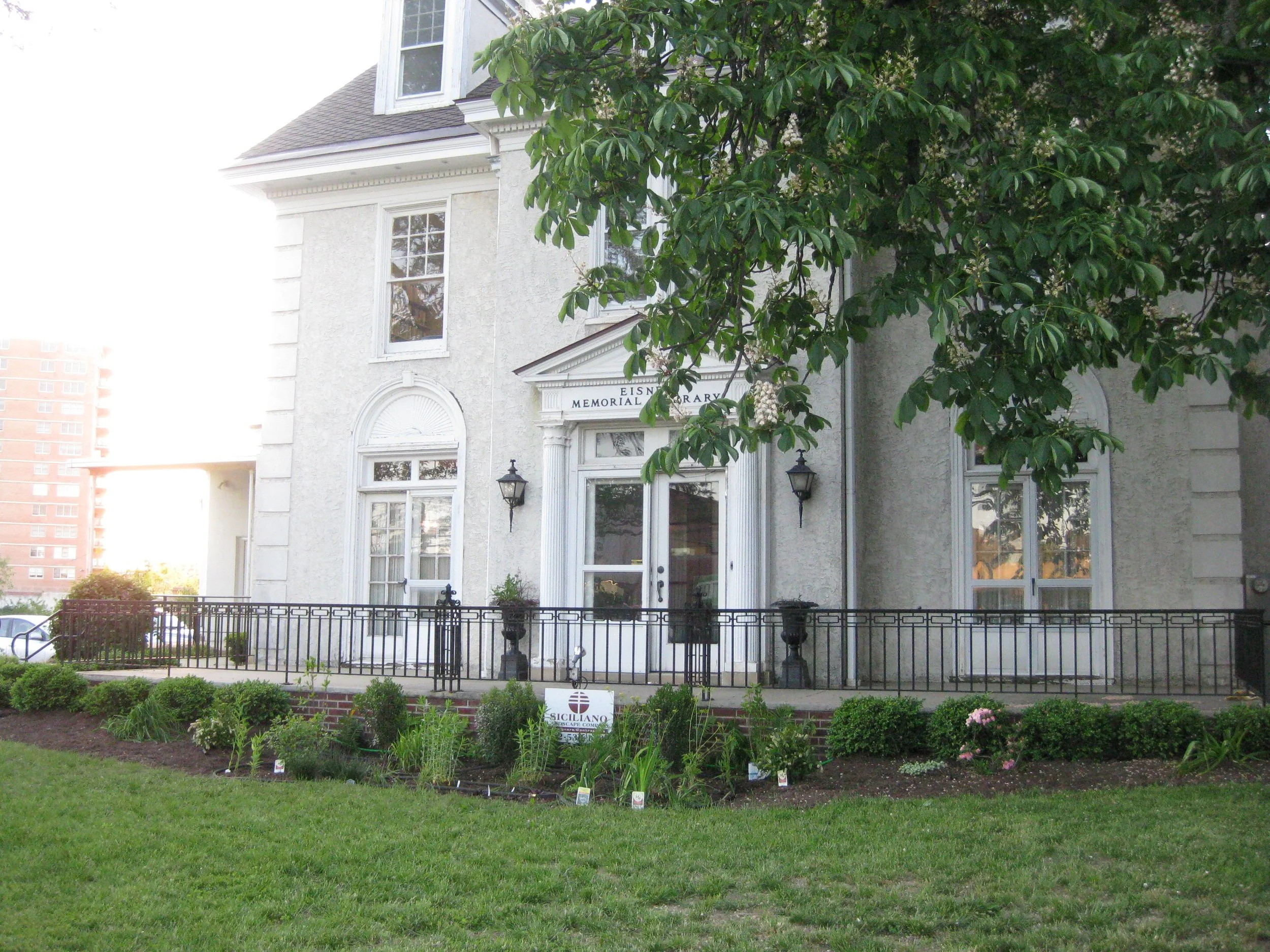 Rain Garden June 2009.JPG
