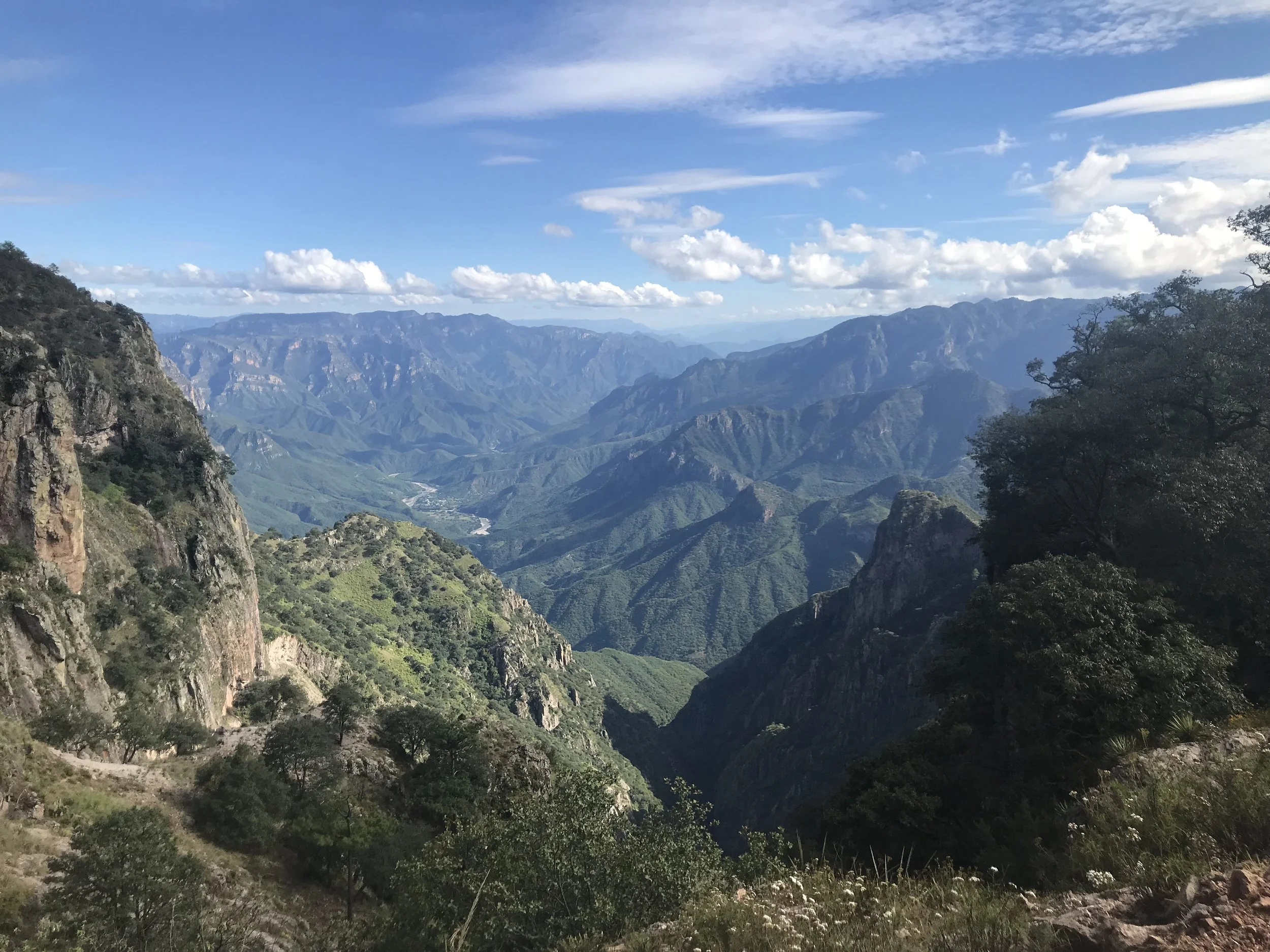 2018_10_10_Barrancas Hawk Nest Month-288.JPG