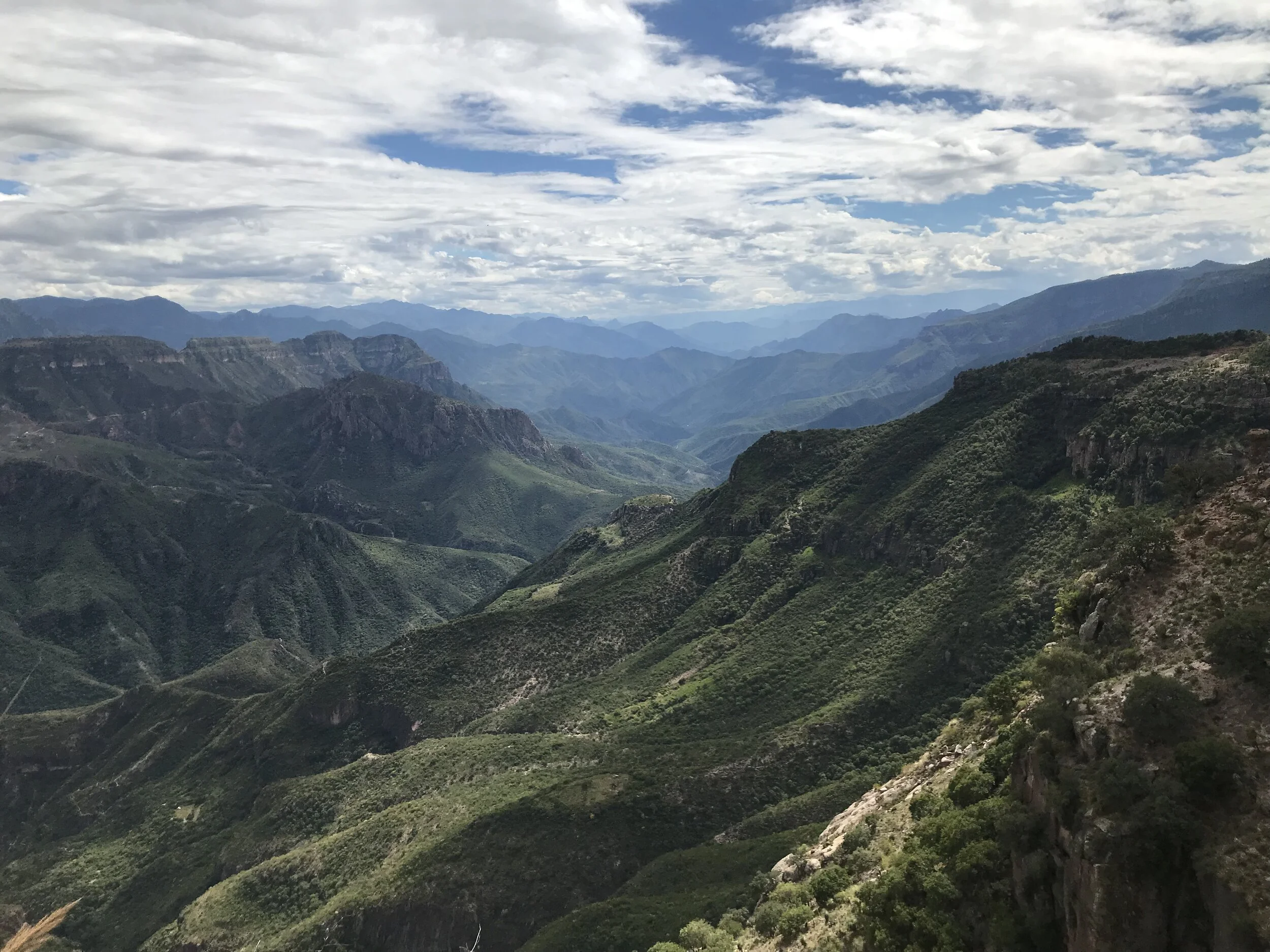 2018_10_10_Barrancas Hawk Nest Month-620.JPG