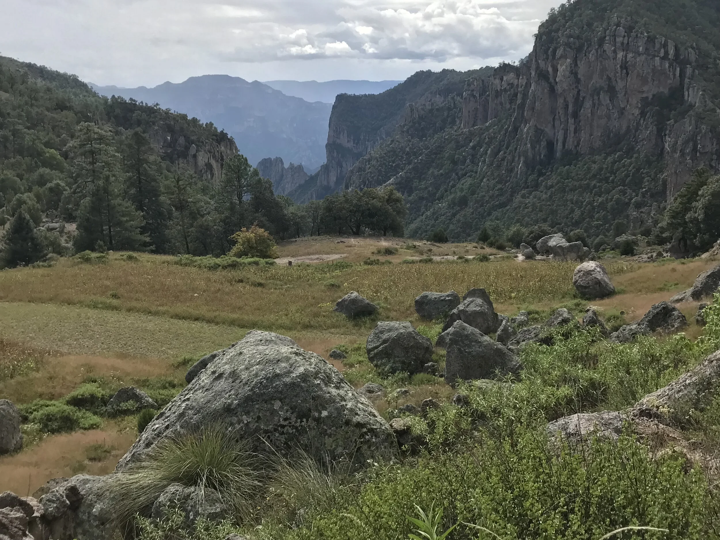 2018_10_10_Barrancas Hawk Nest Month-832.JPG