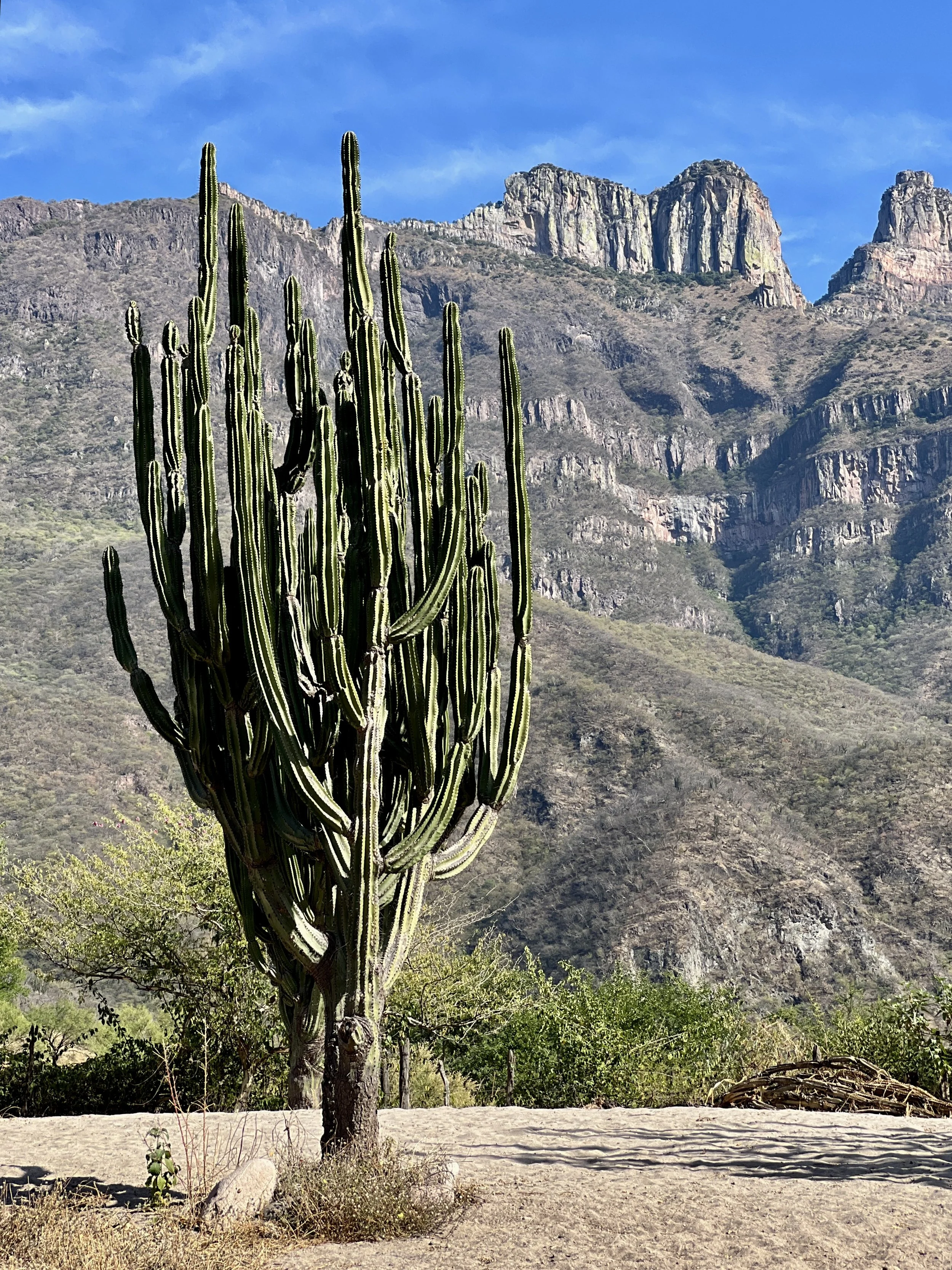 2024_12_17 Sierra Tarahumara Adventure Camp (207).JPEG