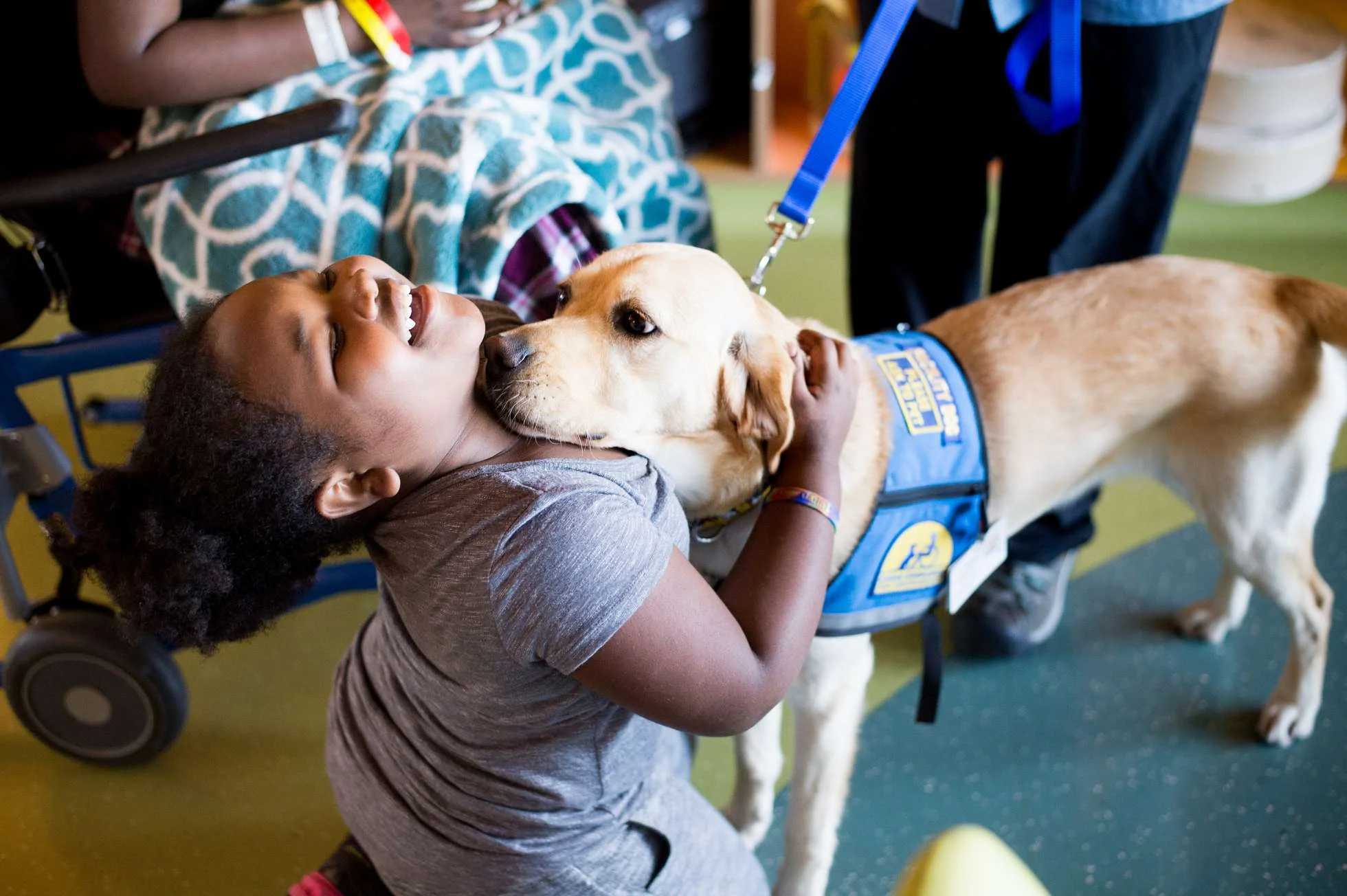 UCSF_20161116_KimonoDog_010a.jpg