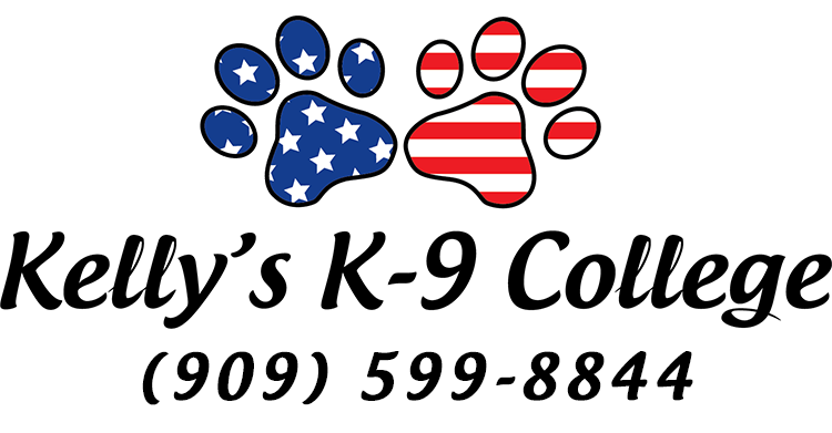 Kelly's K-9 College