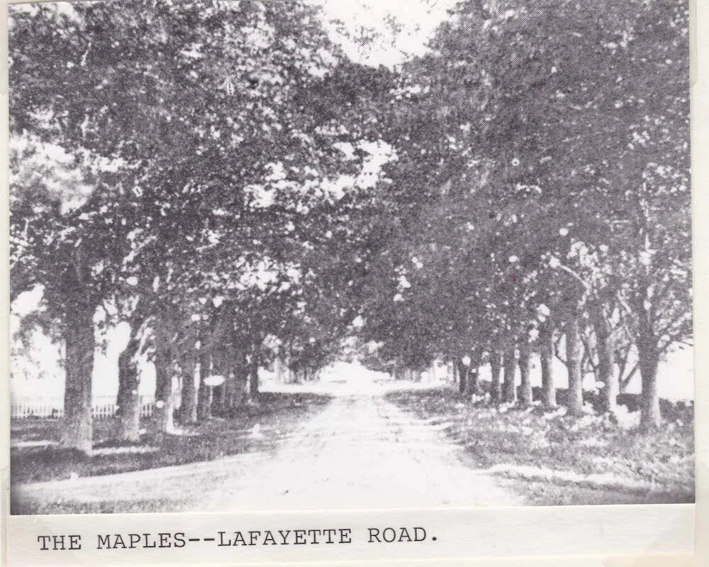  The Maples - Lafayette Road 