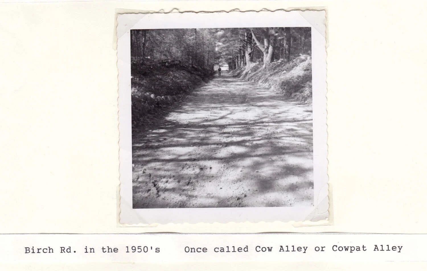  Birch Rd. in the 1950’s.  Once called Cow Alley or Cowpat Alley 