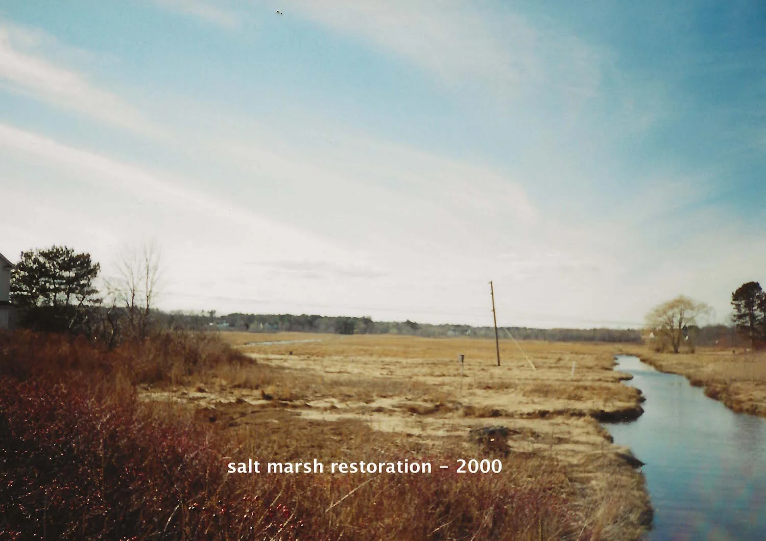 salt marsh restoration 2000