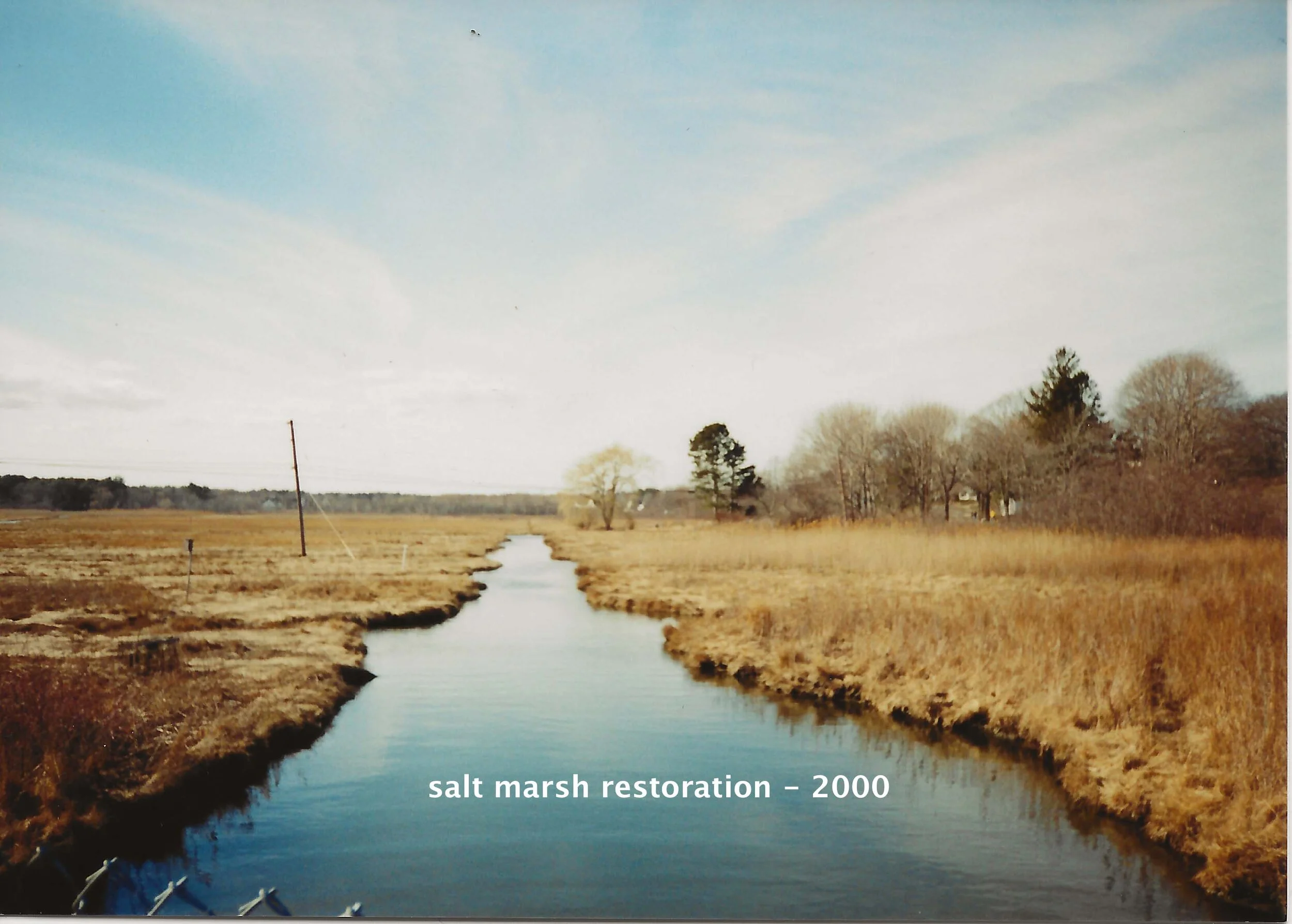 salt marsh restoration - 2000