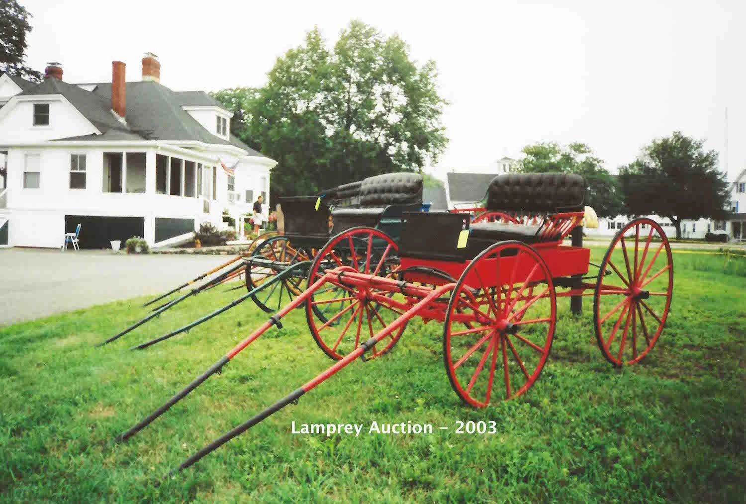 Lamprey Auction - 2003