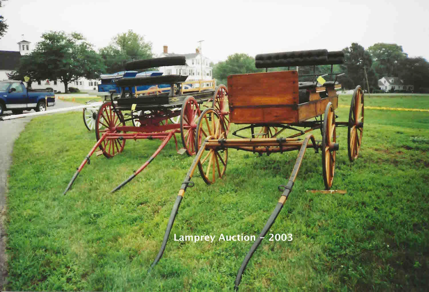 Lamprey Auction - 2003