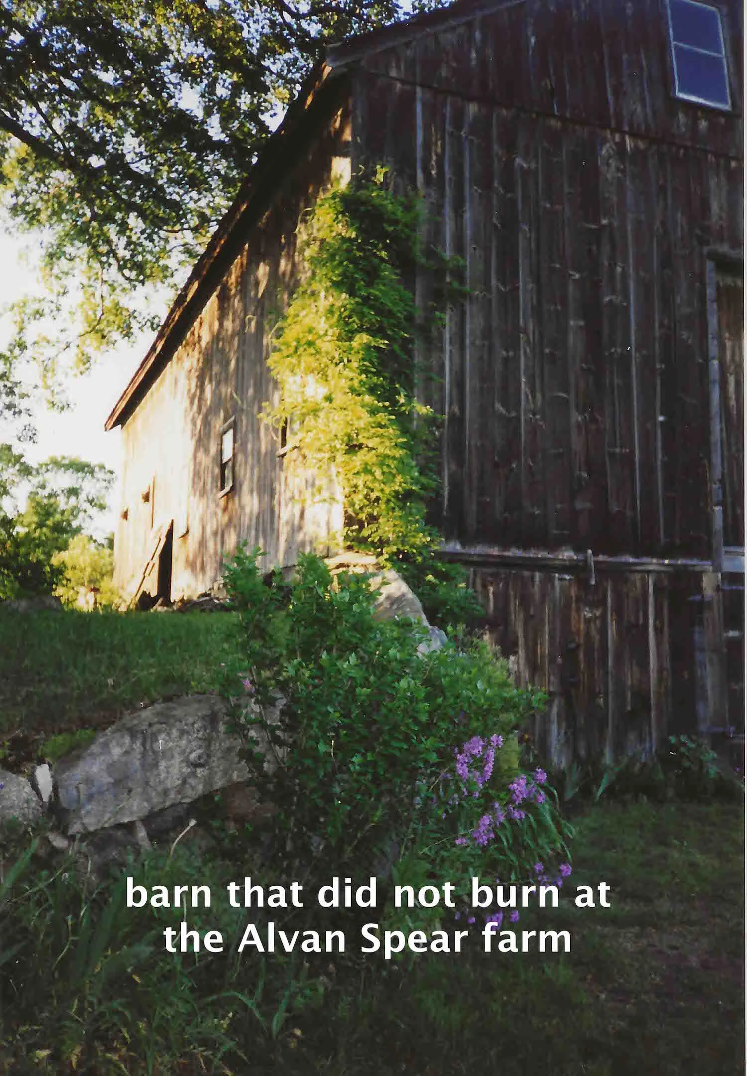 barn that did not burn at the Alvan Spear Farm