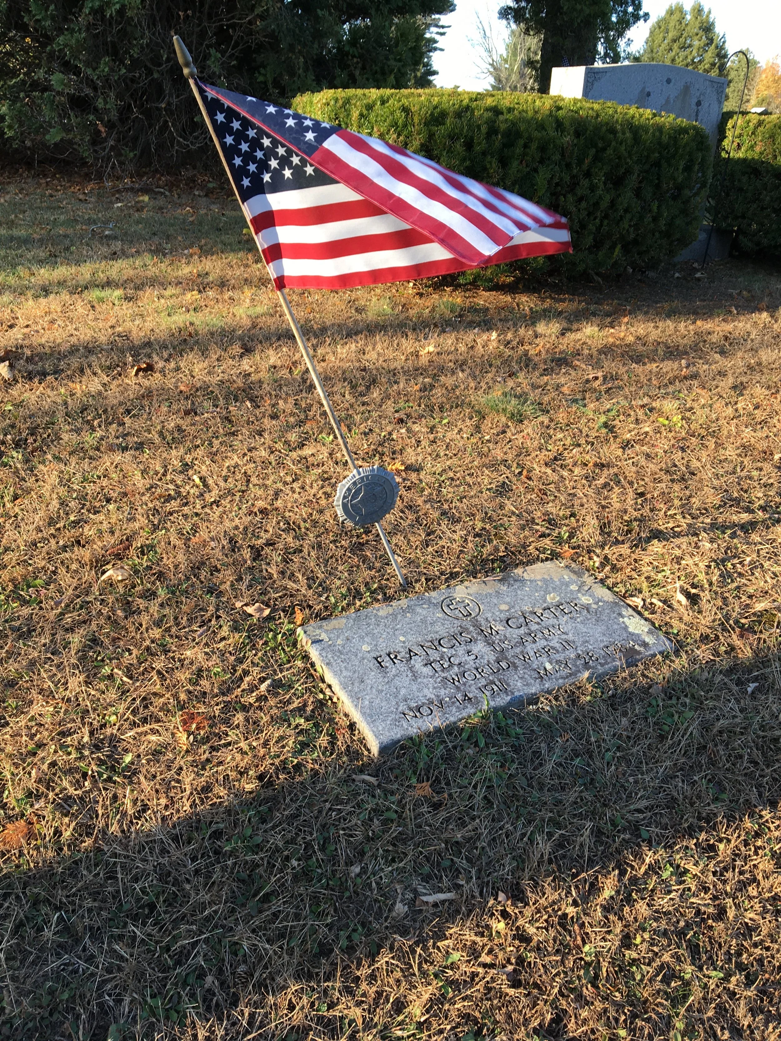 Cemetery Musings for Veteran's Day