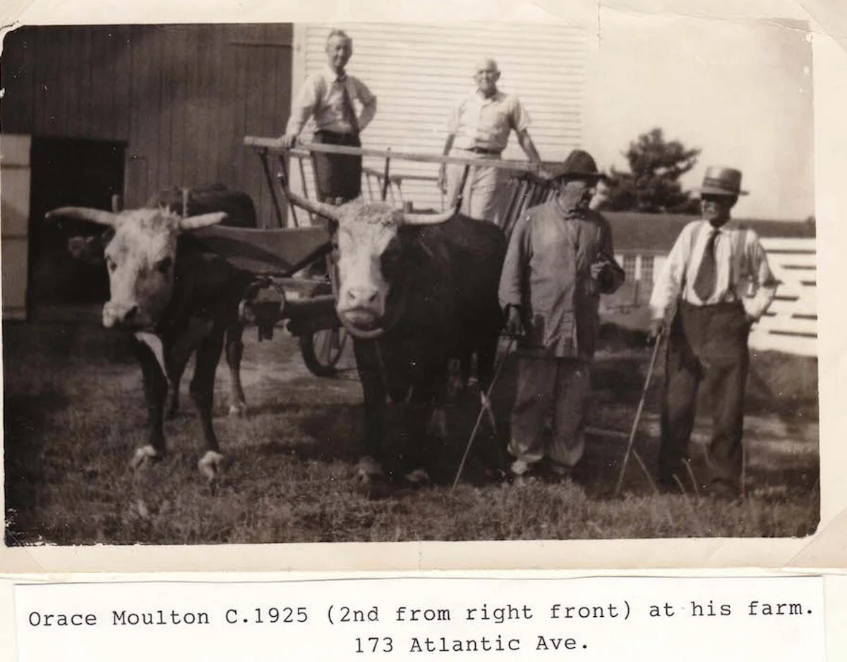Orace Moulton, North Hampton's Last Ox-man
