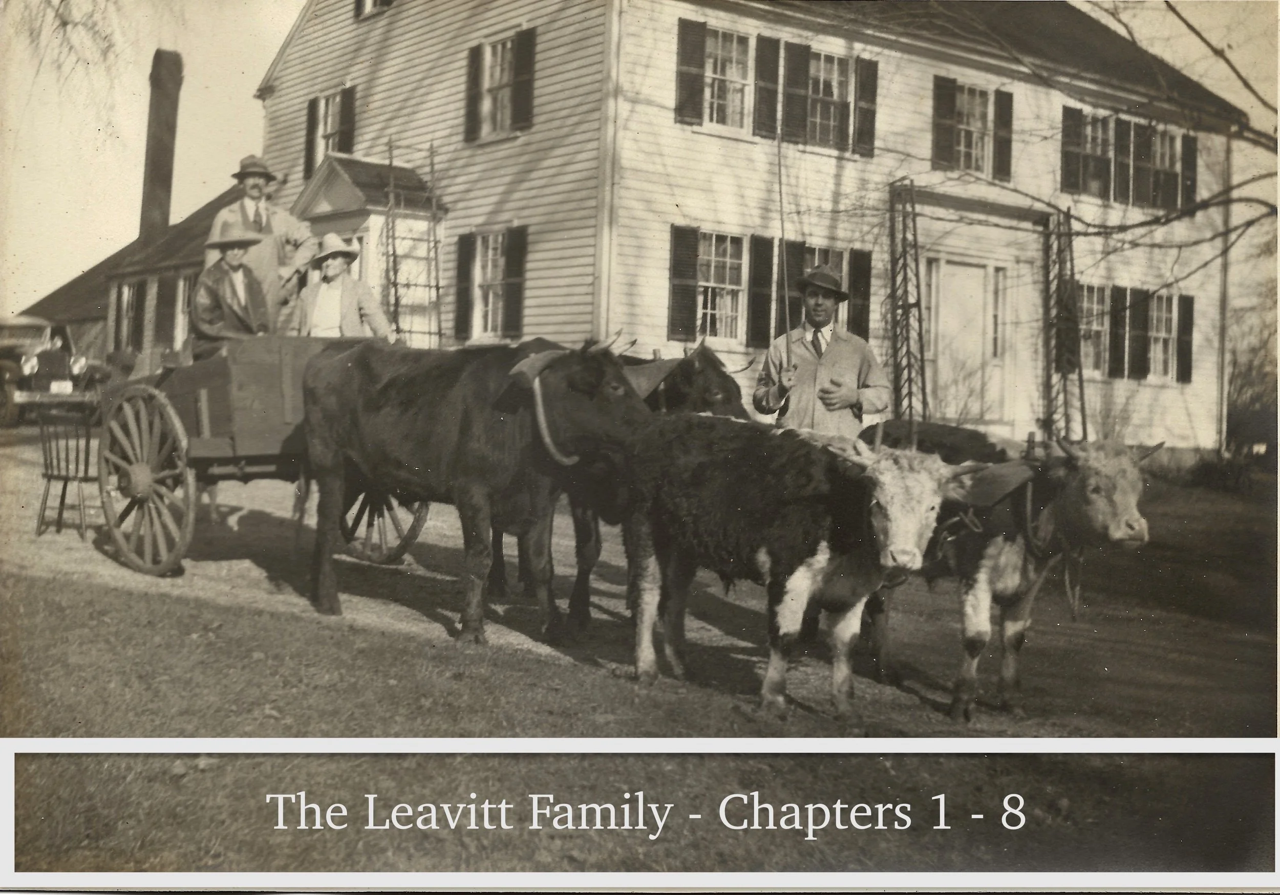 The Leavitt Family - Chapters 1 - 8
