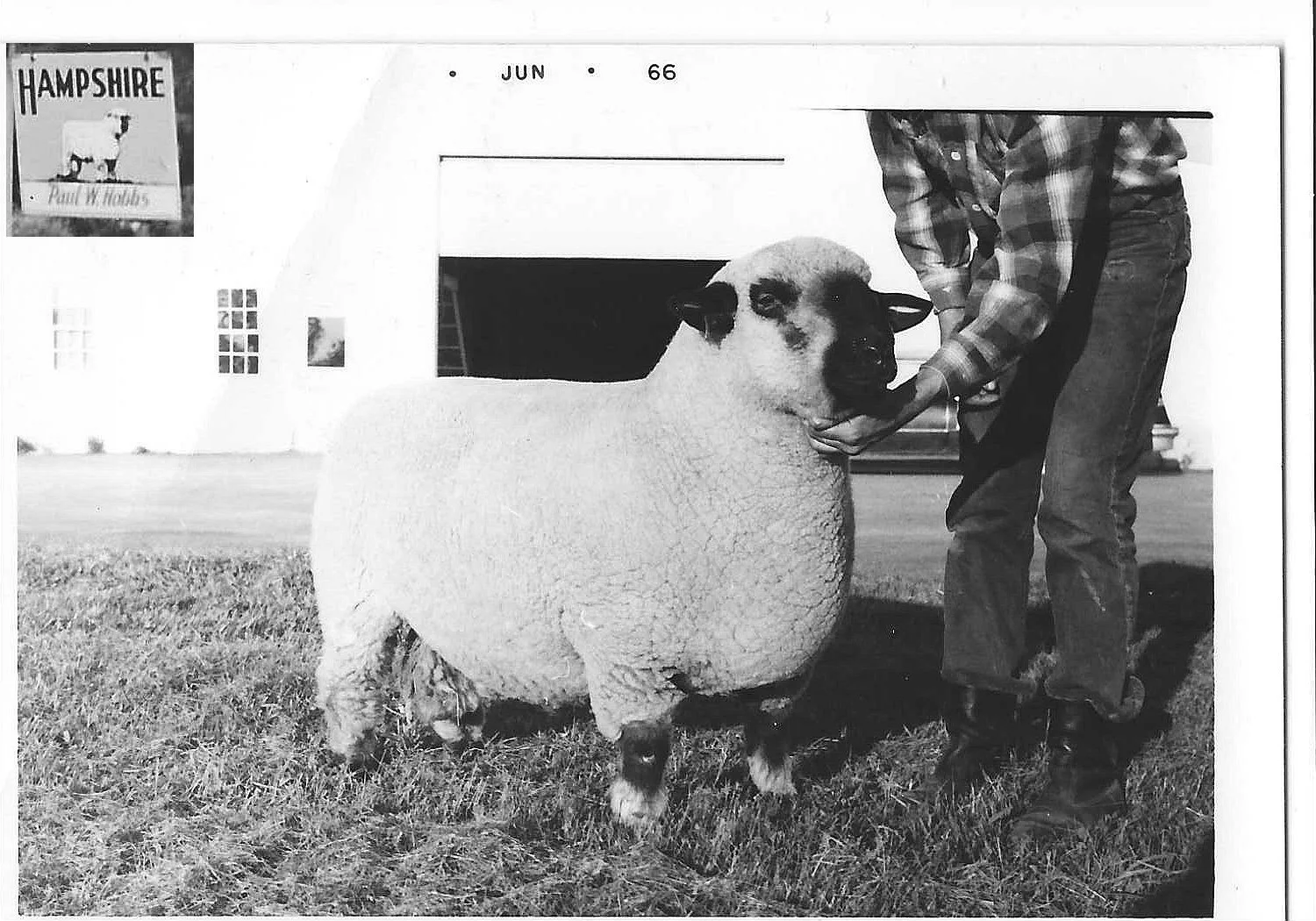 Hobbs Farm before Throwback Brewery - Part 3