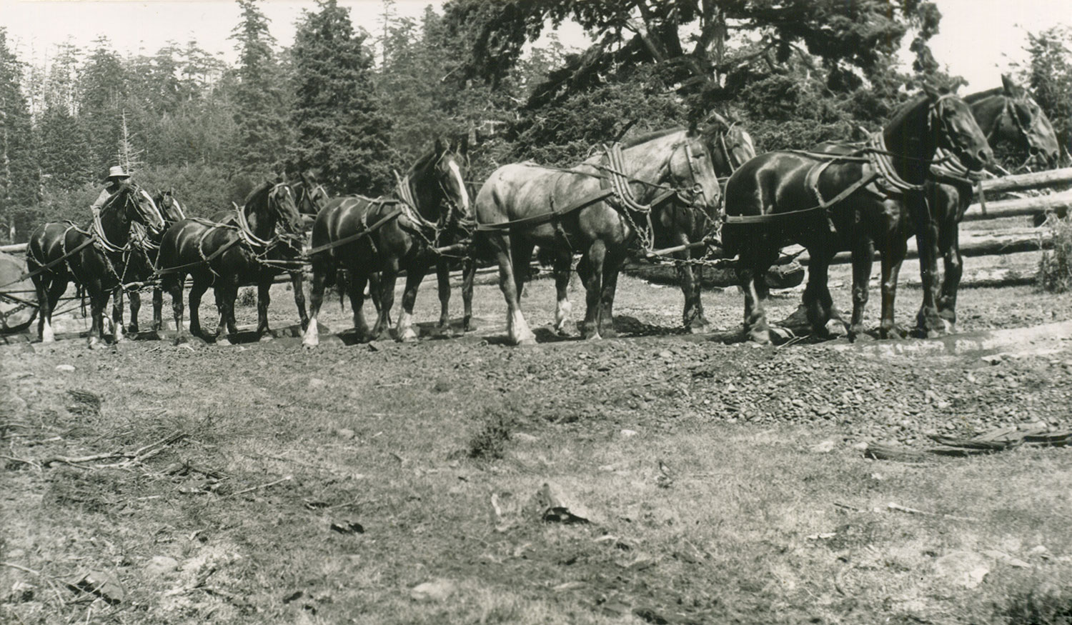 1914-1920s