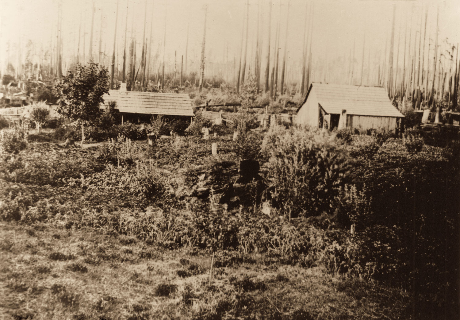 1896