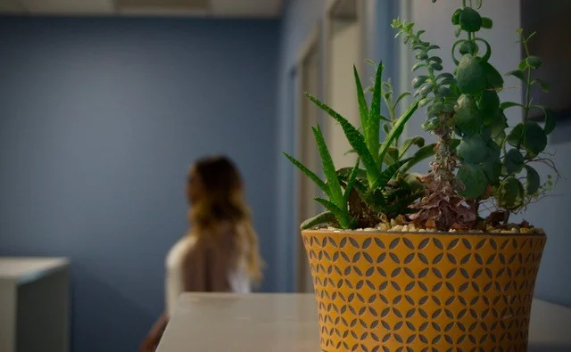 Plant with Jessica.jpg