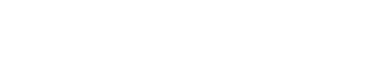 Portfolio+Night+Line-1.png