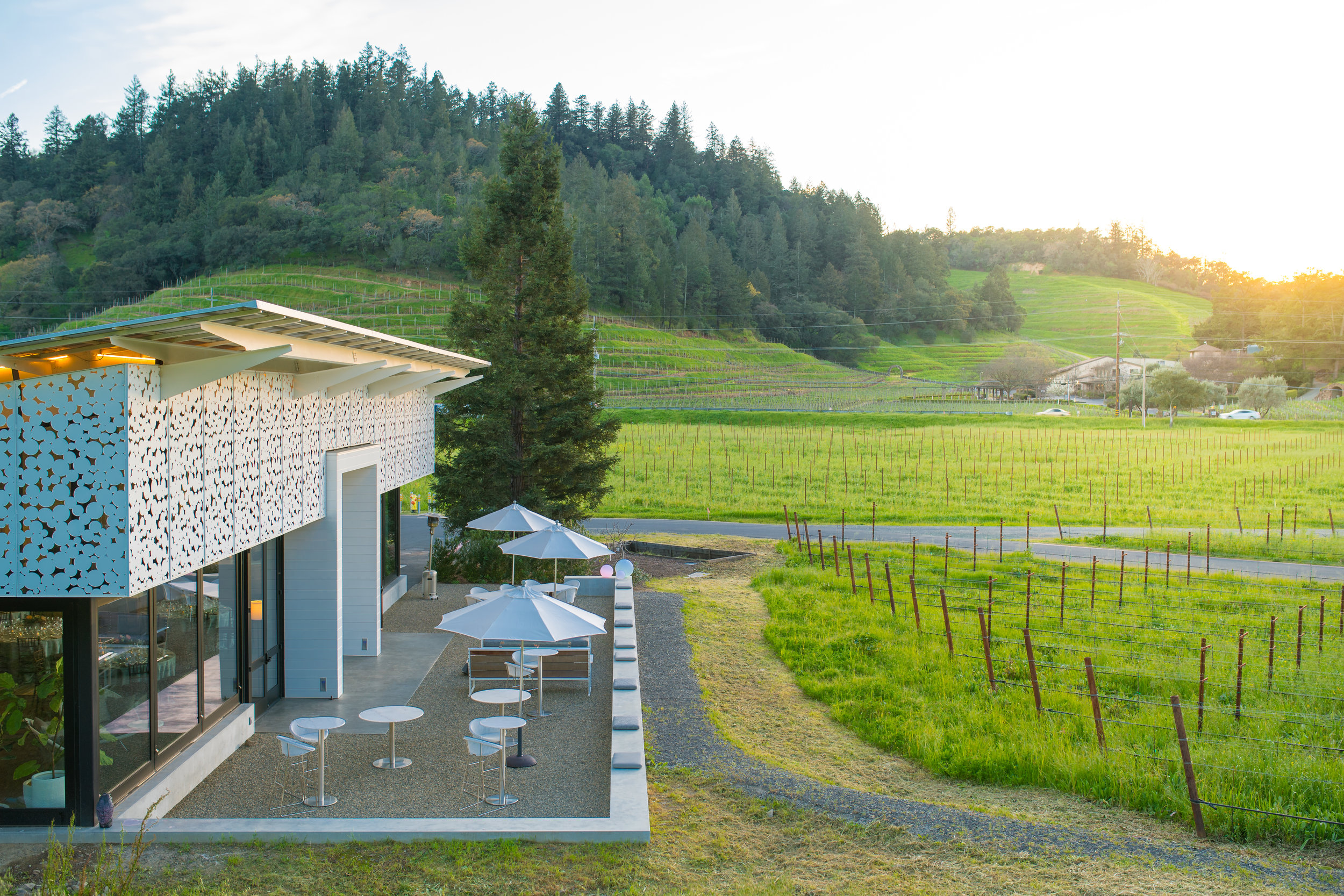 Odette Estate Winery (Copy)