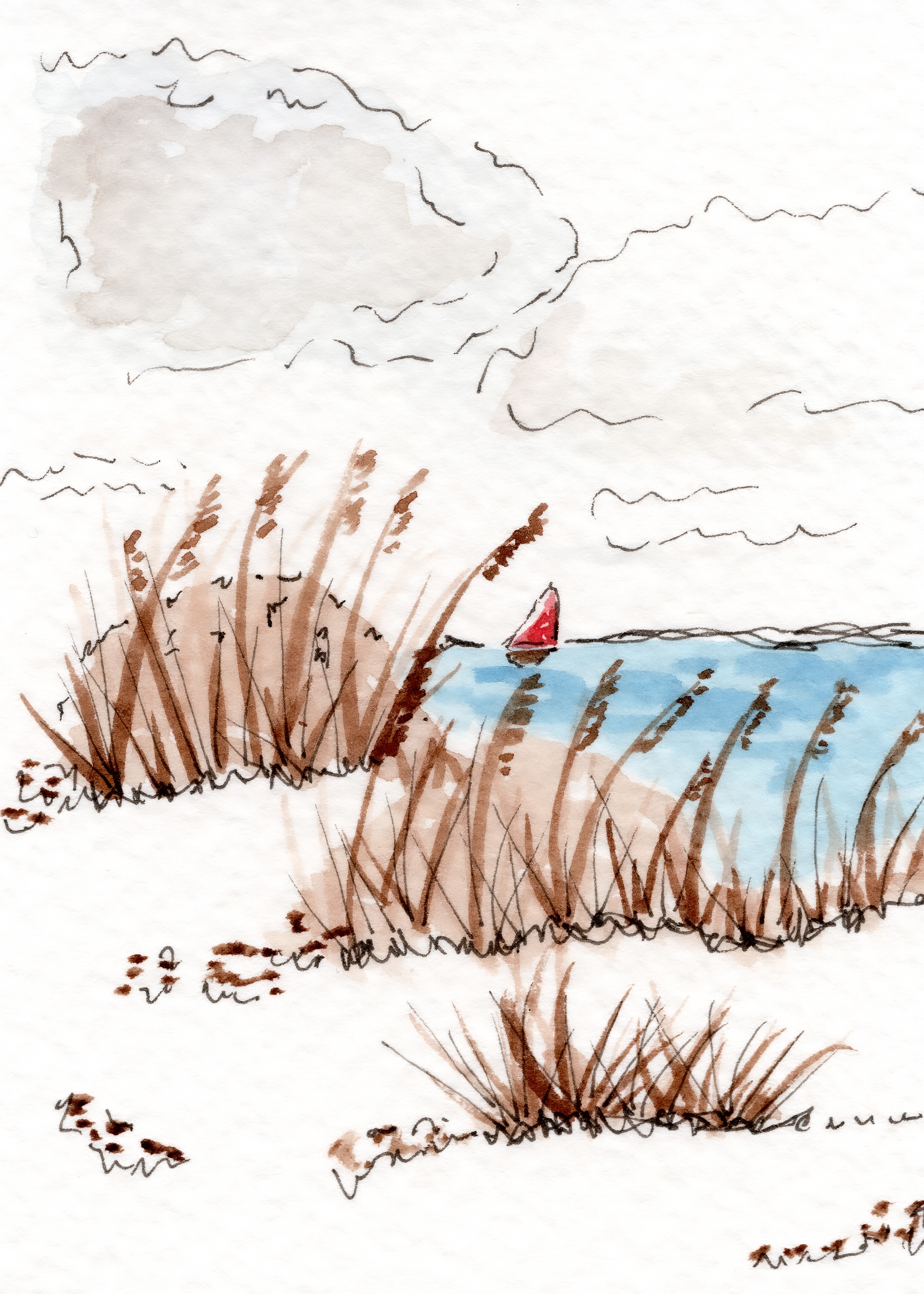 Beach Landscape_June 3.png