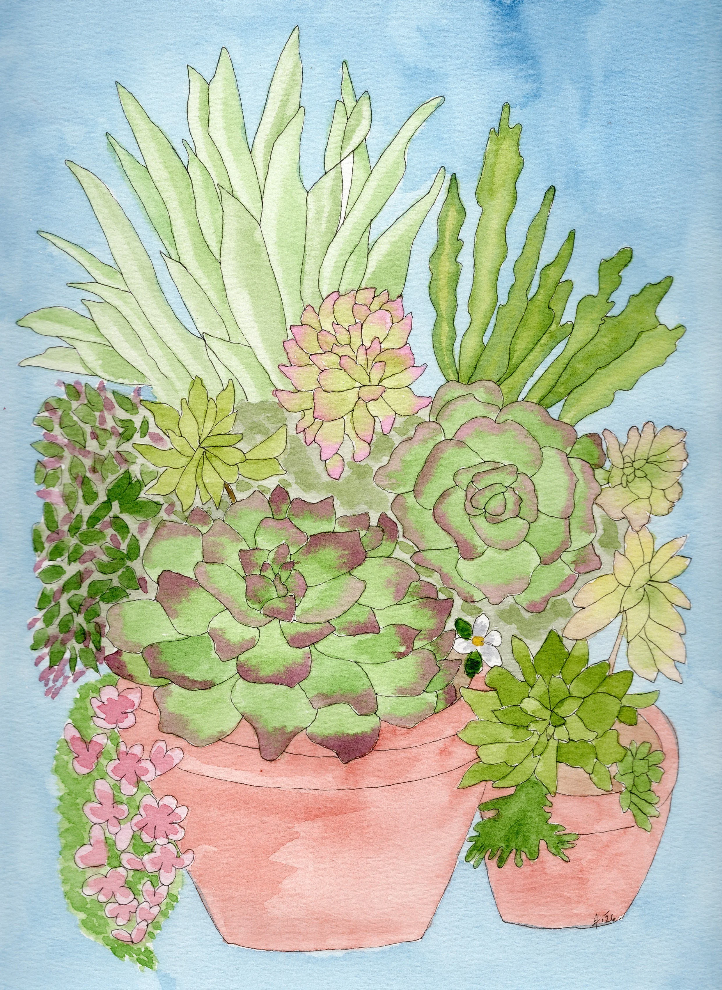 Succulents_May 30.jpg