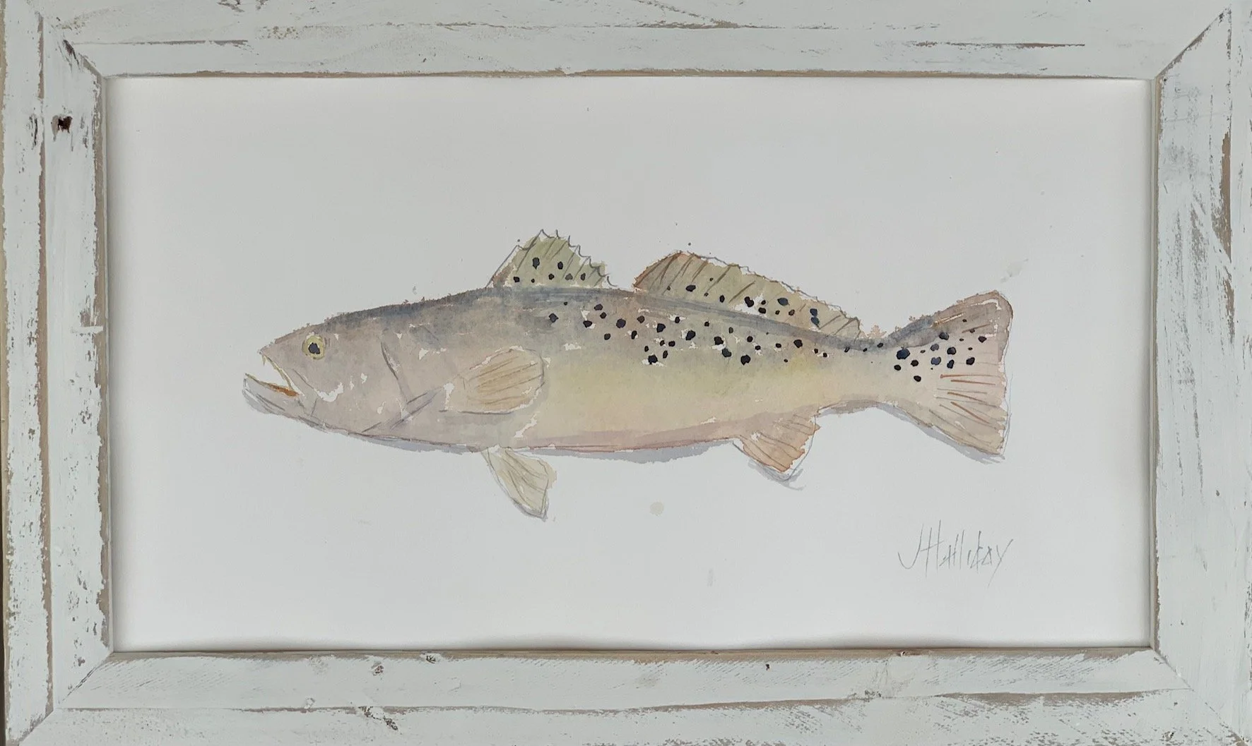 Watercolor with John Halliday