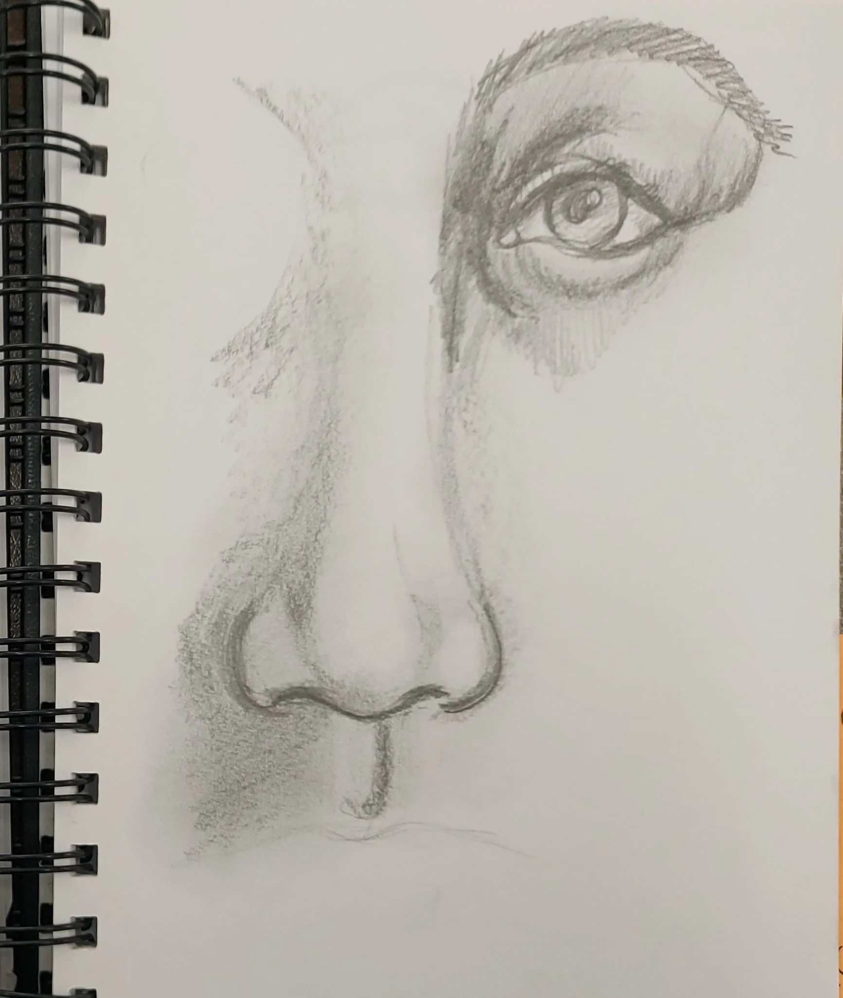 Facial Features Drawing