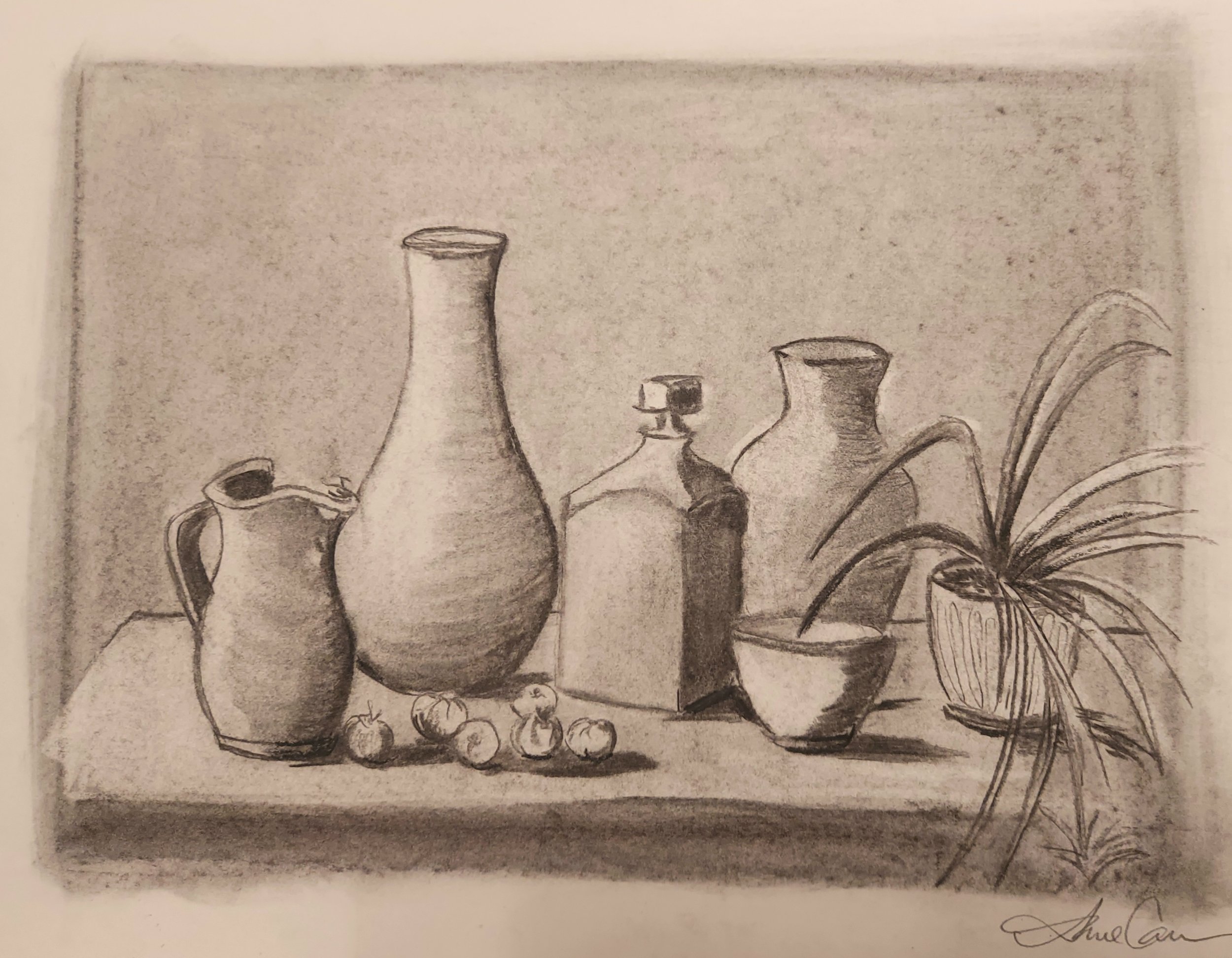Still Life Drawing