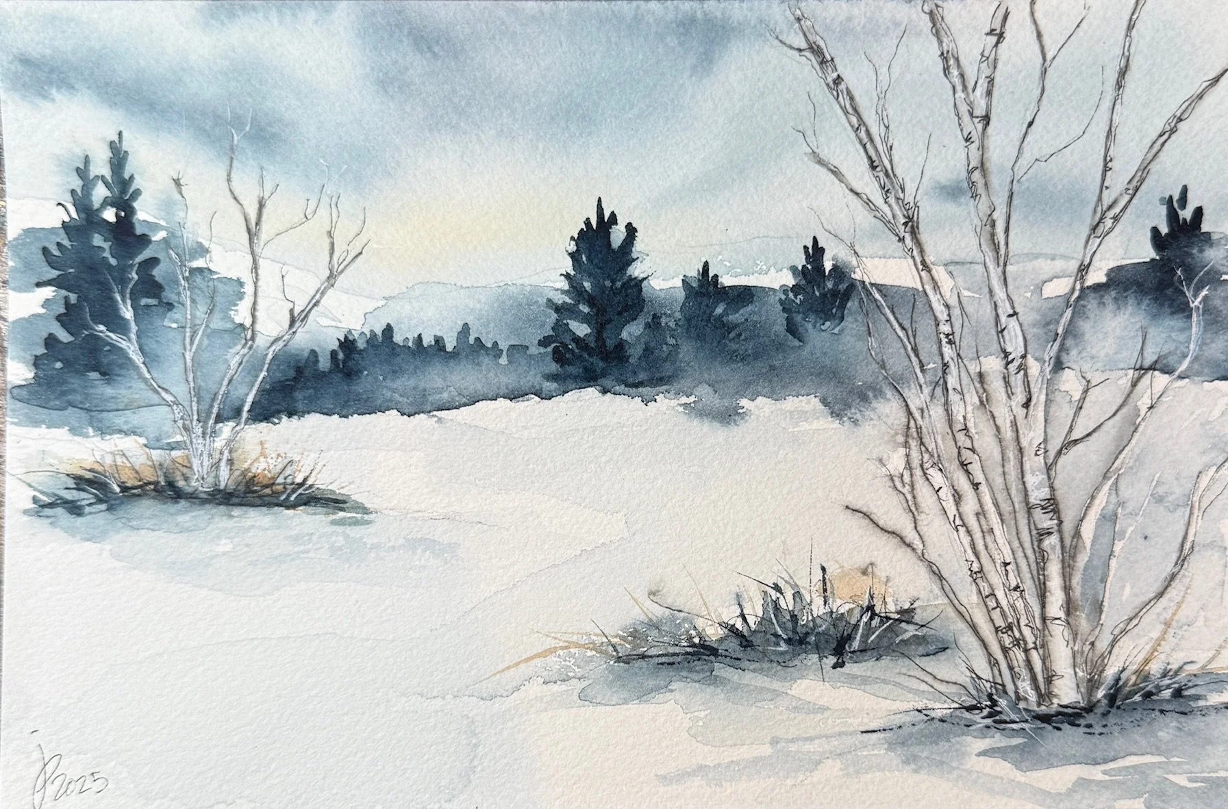 Beginner Watercolor Painting