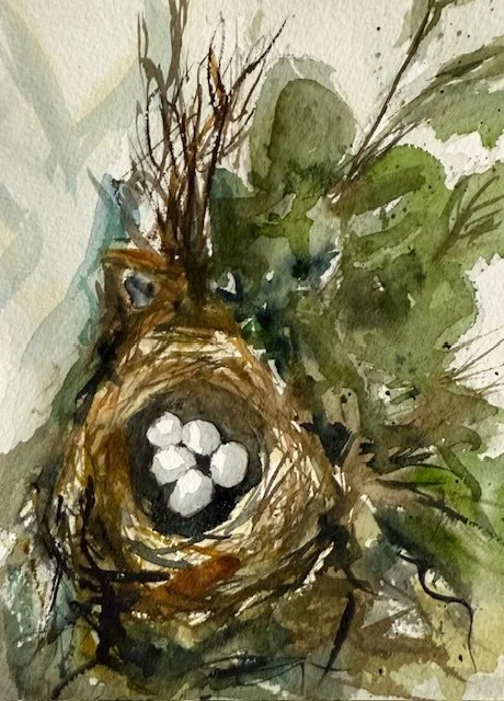 Beginner Watercolor Painting 