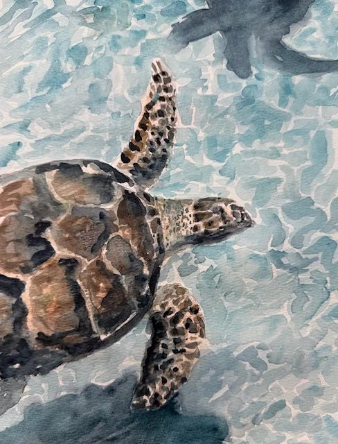 Beginner Watercolor Painting