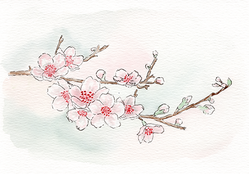 Watercolor Painting with Jerri  