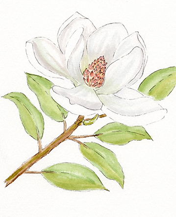 Watercolor Painting with Jerri