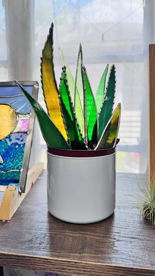 Stained Glass Snake Plant Edition