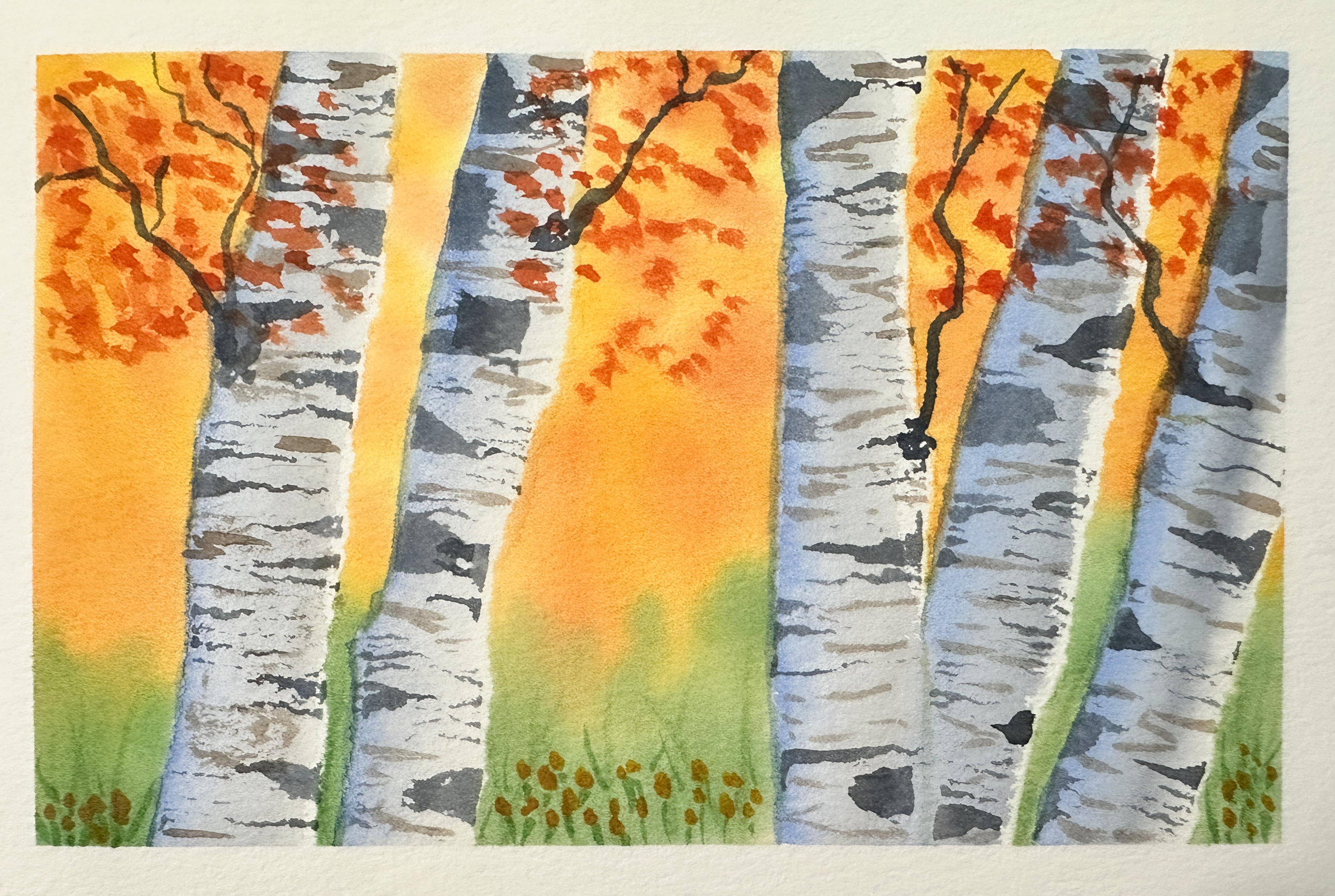 Birch Trees.png