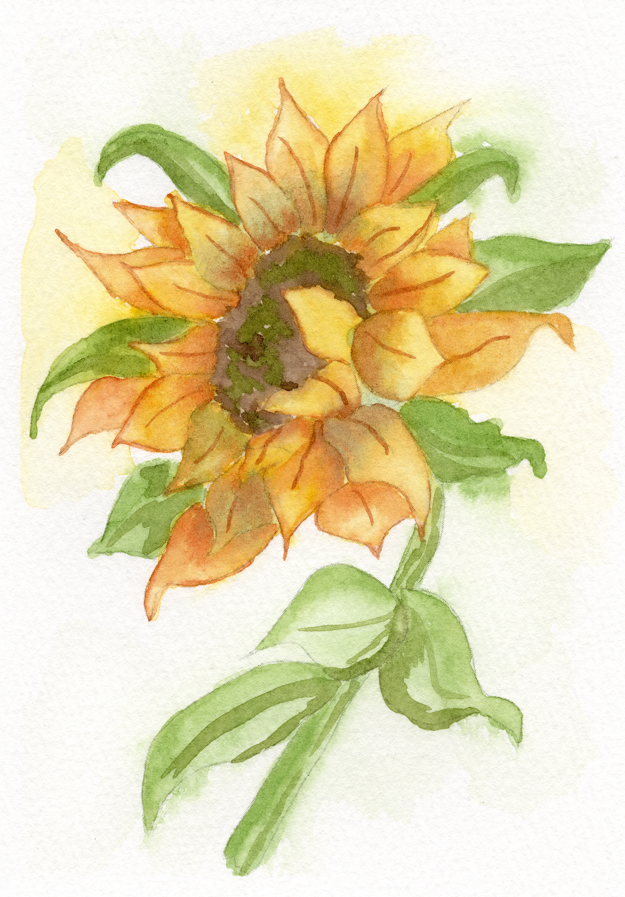 Sunflower_June 16.png