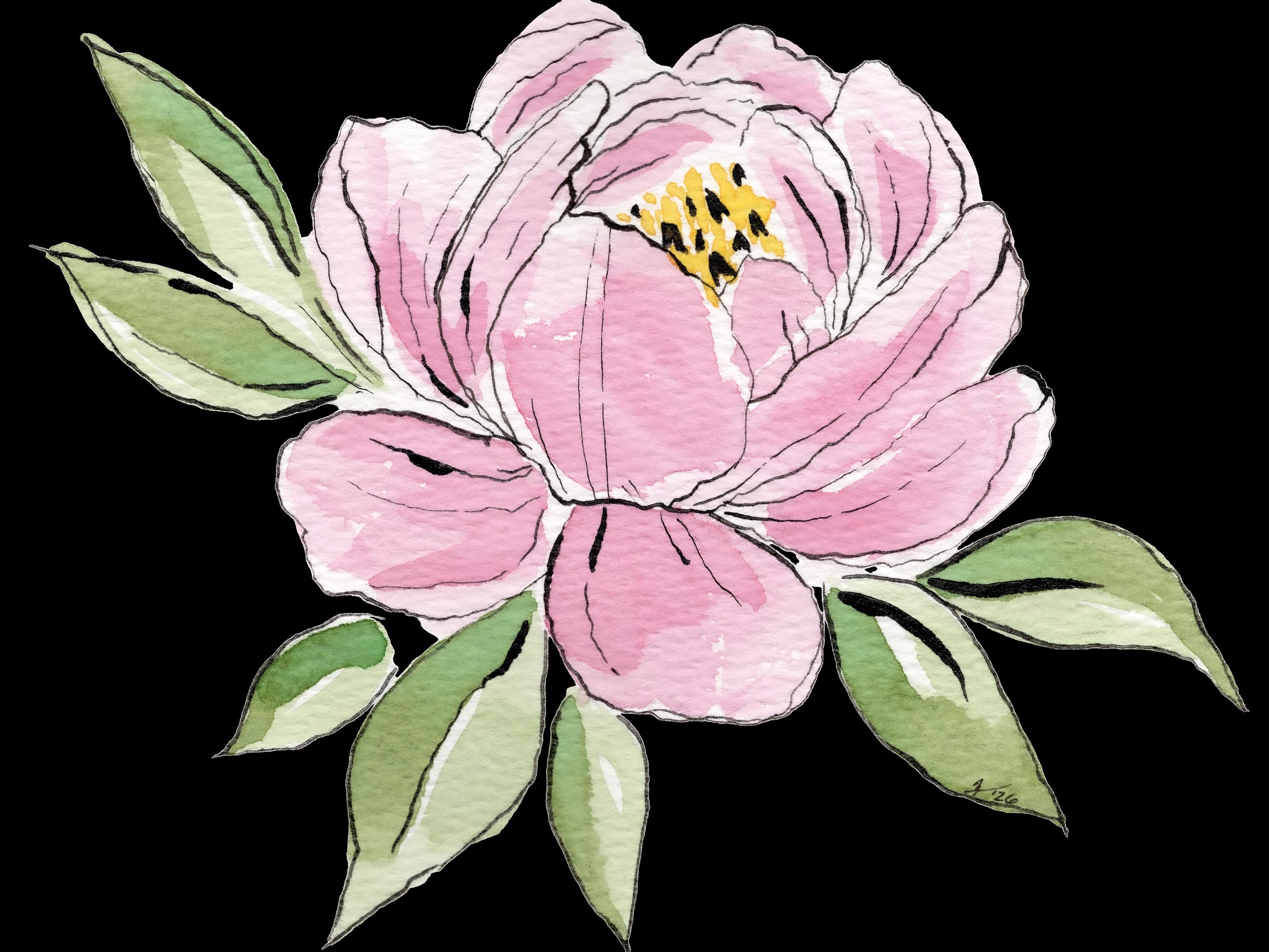 Pink Camellia_April 7.jpg