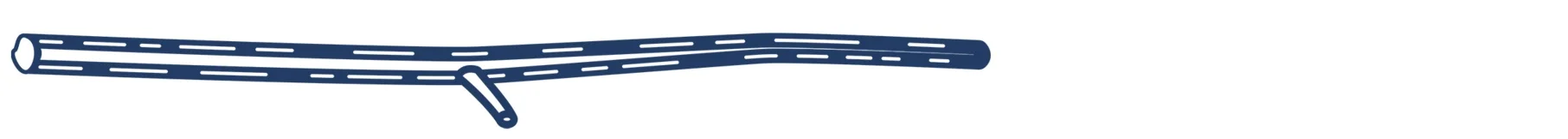 bleu-branche.jpg
