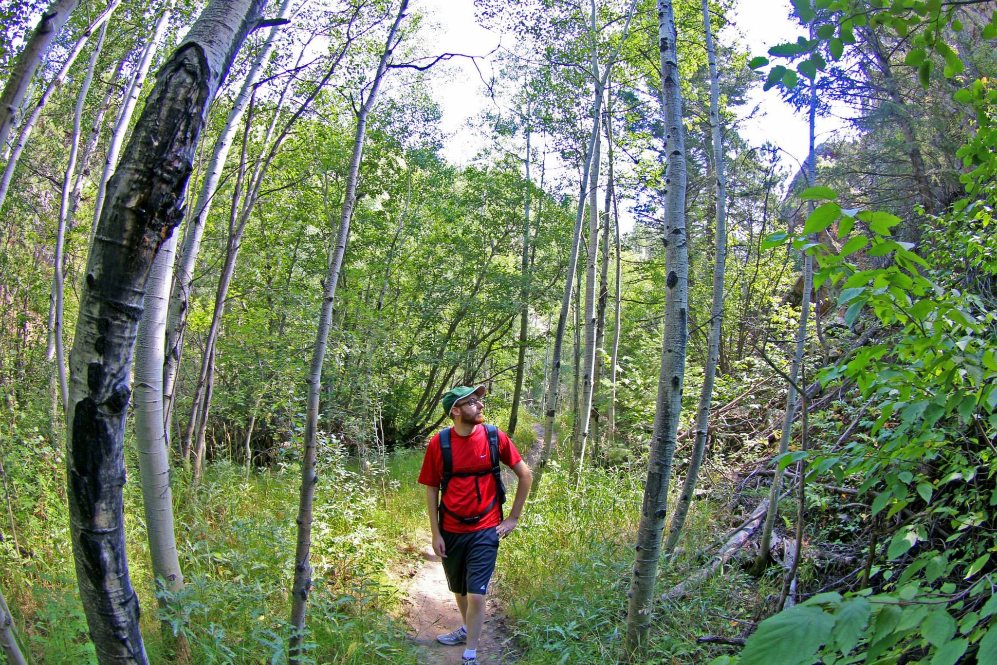 Singer Enviro $$ Email Shot.jpg