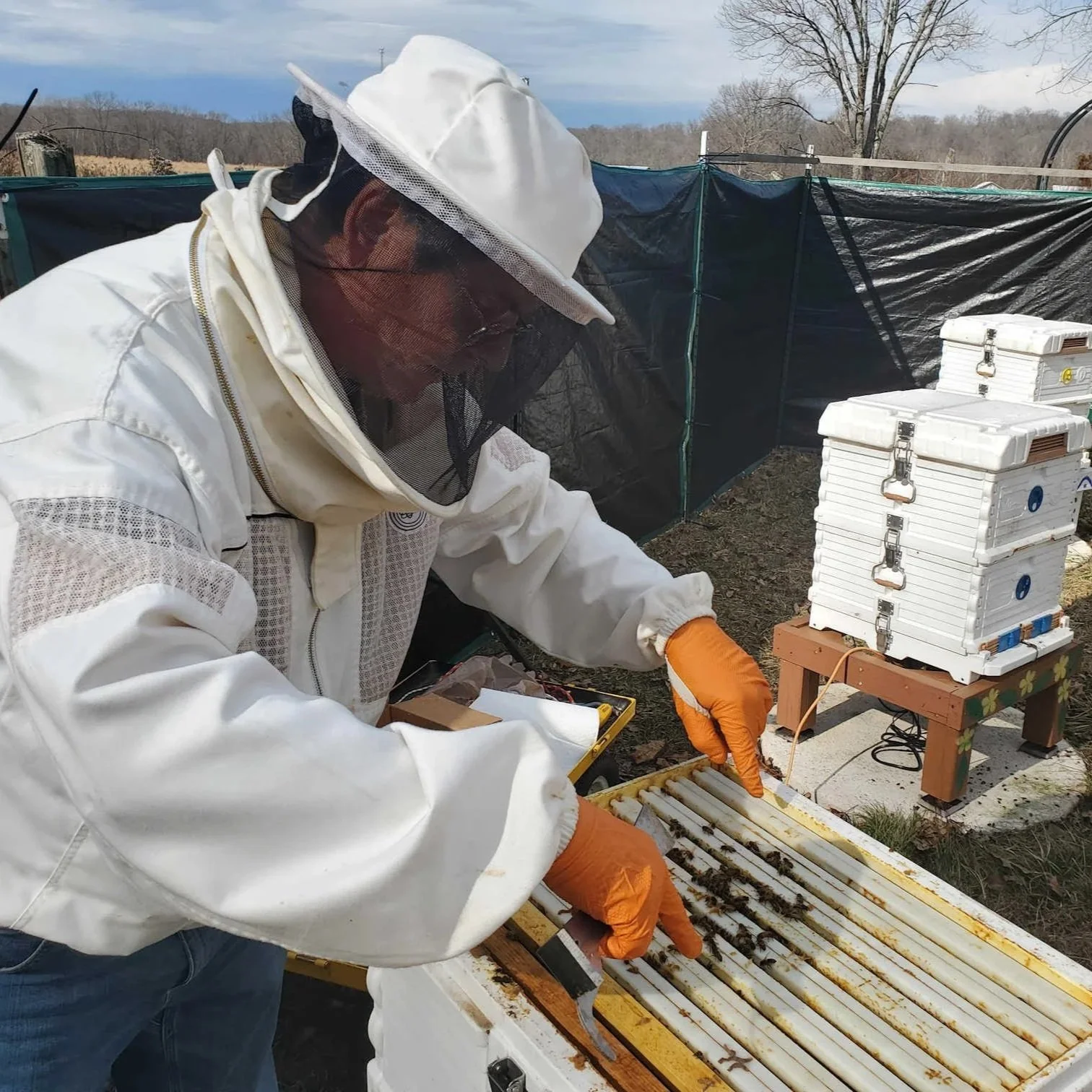 Early Spring Inspection