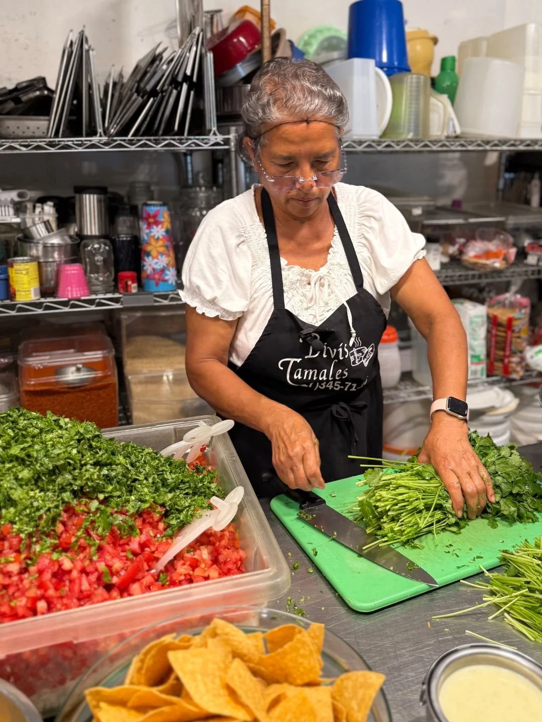 Bivi's Tamales &amp; Salsa