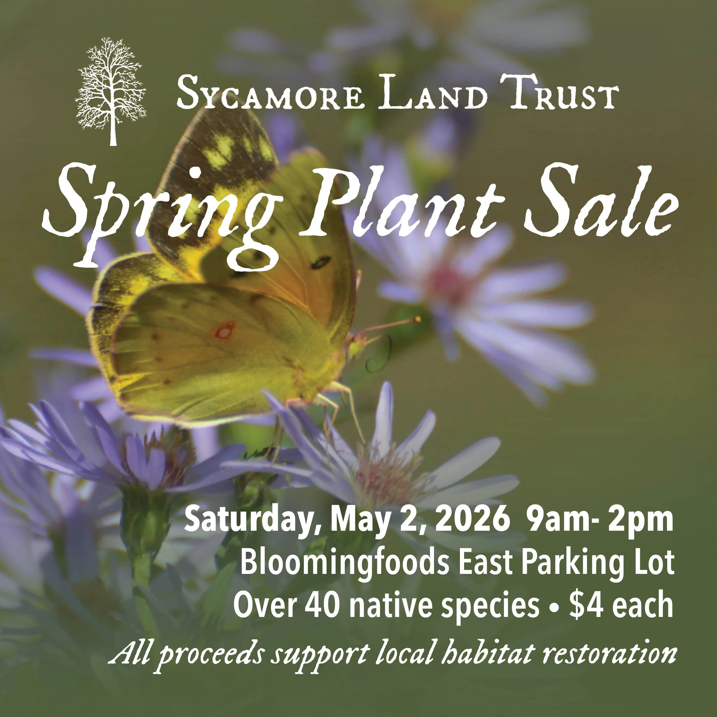 Spring Plant Sale