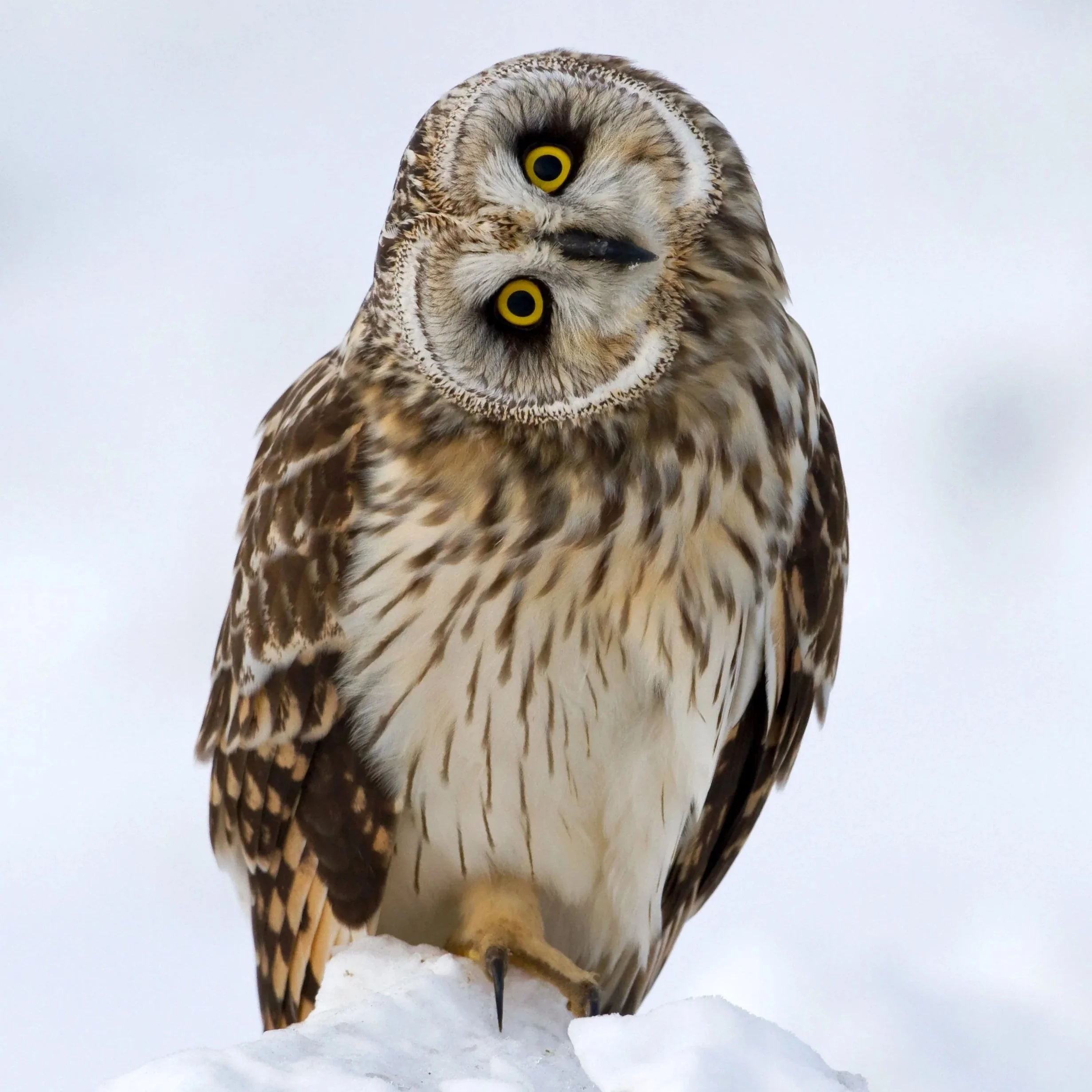 Conservation Law Center